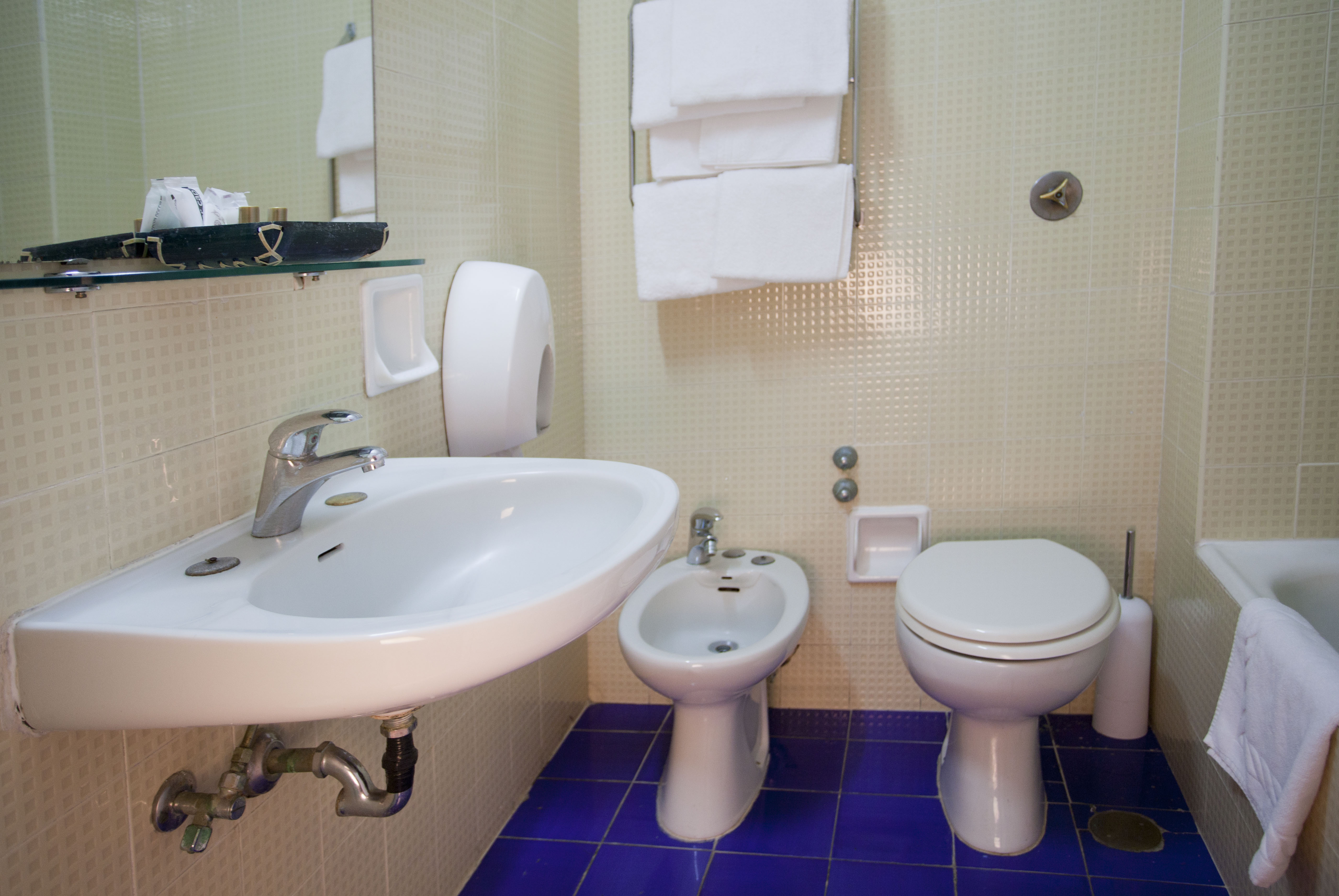 Double or Twin Economy