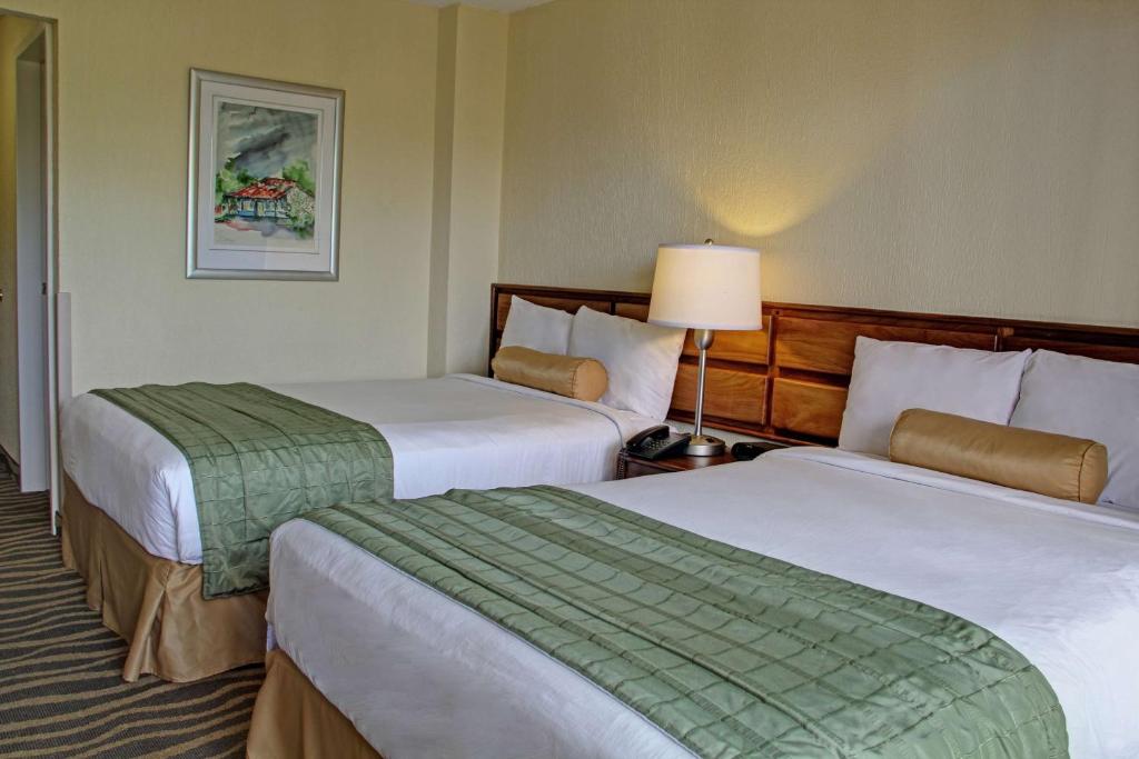 Double Pool View Two Double Beds