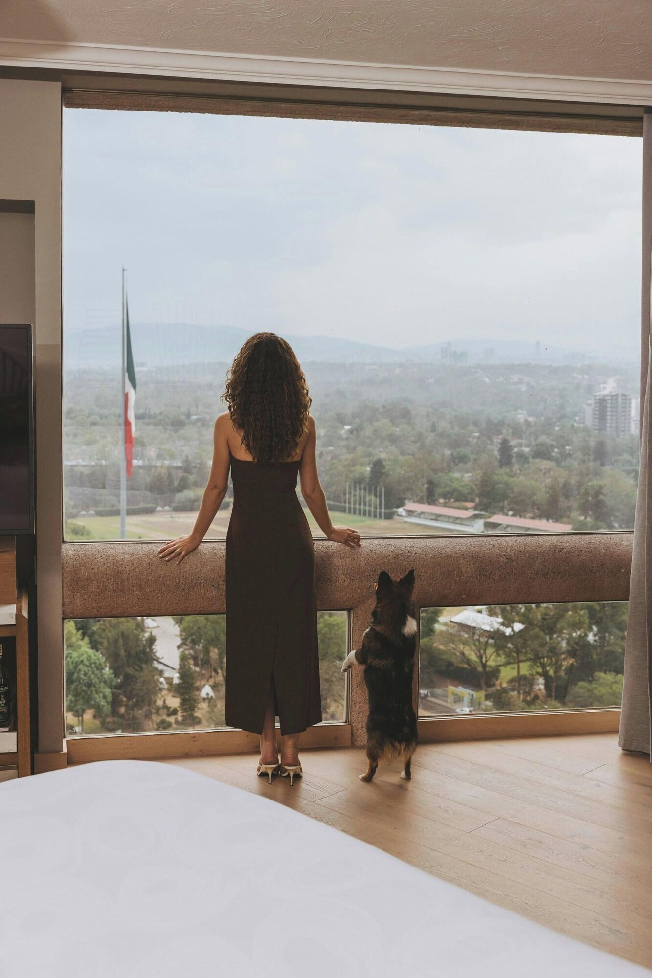 Double Deluxe King Bed