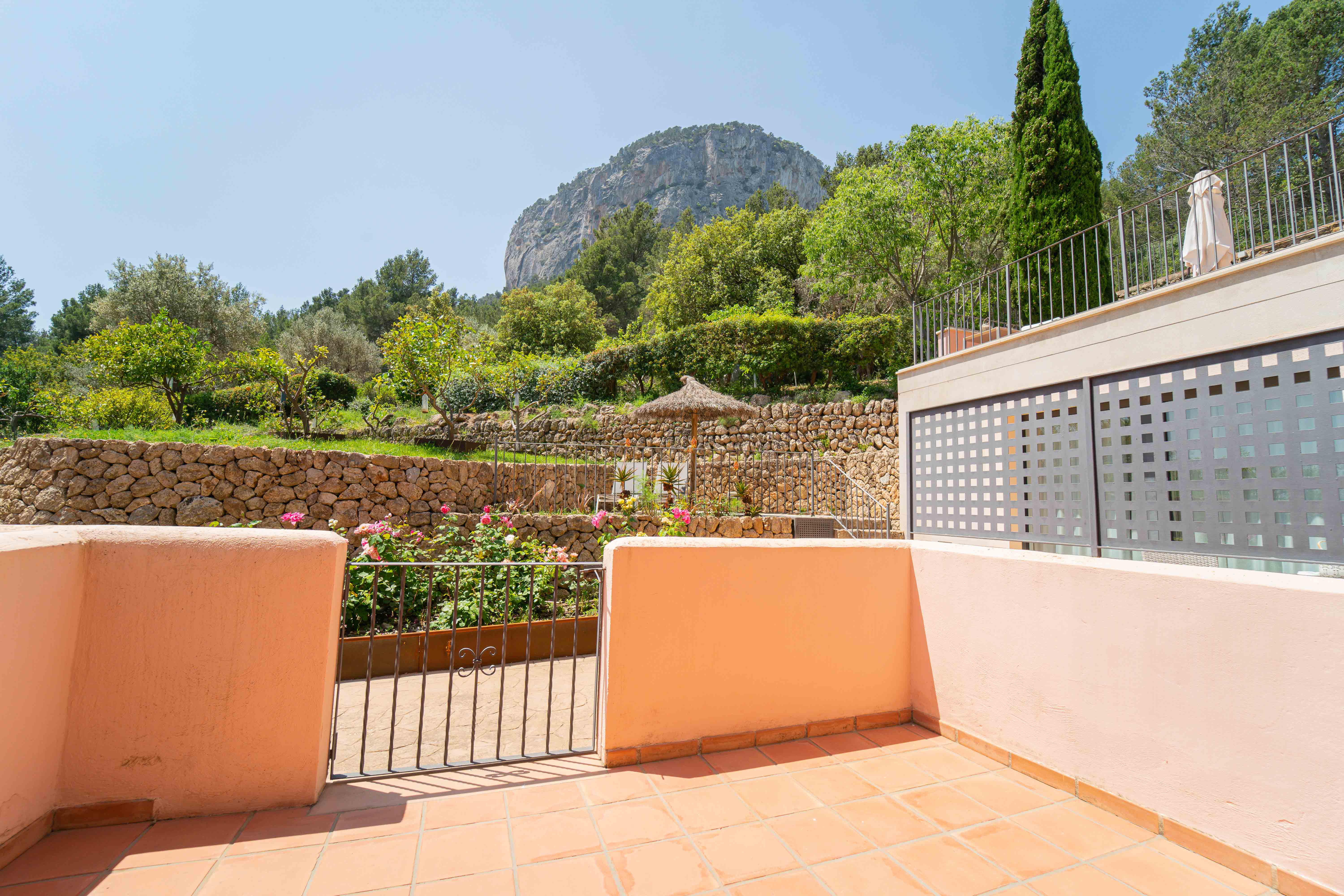 Double or Twin with Terrace