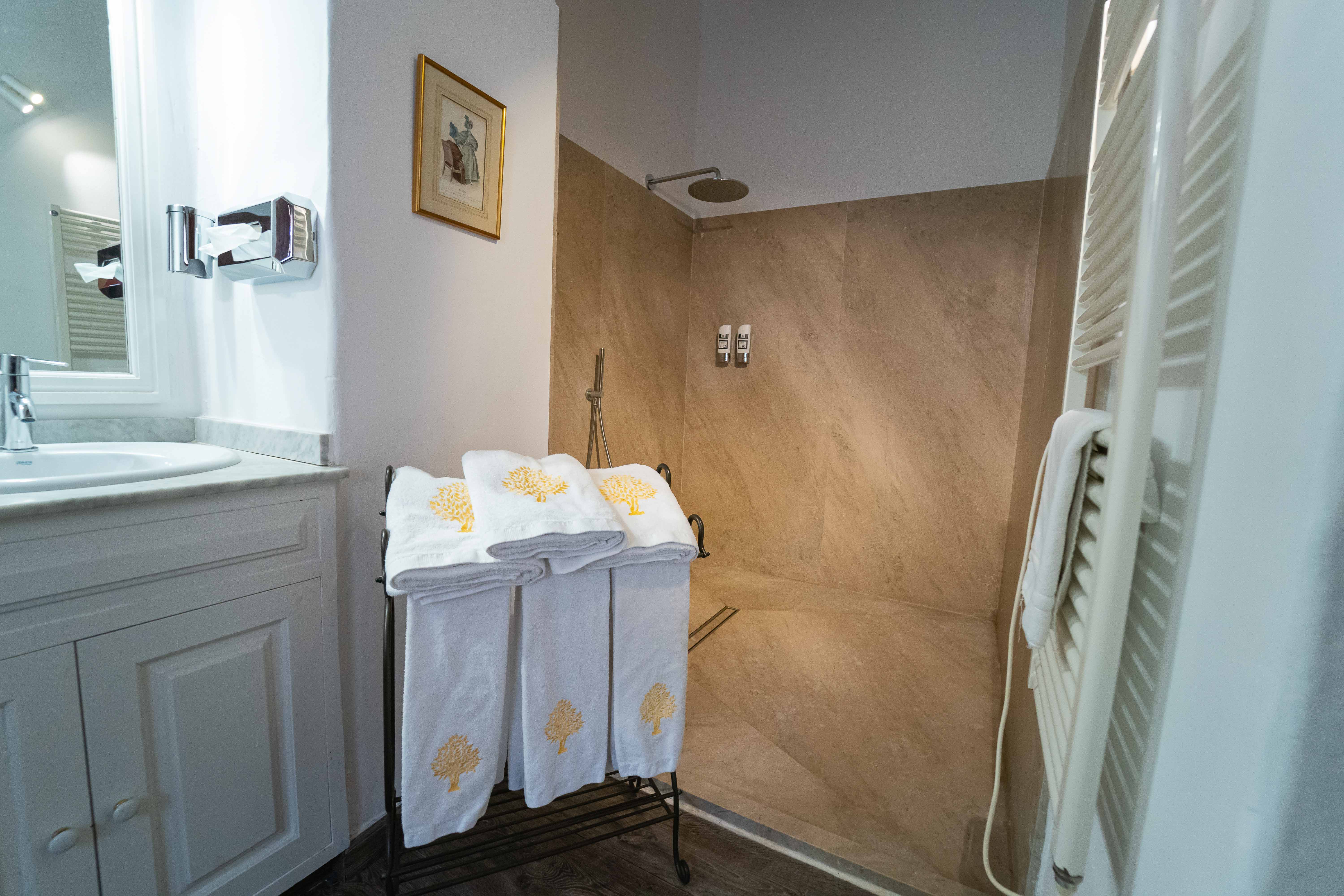 Double or Twin with Terrace