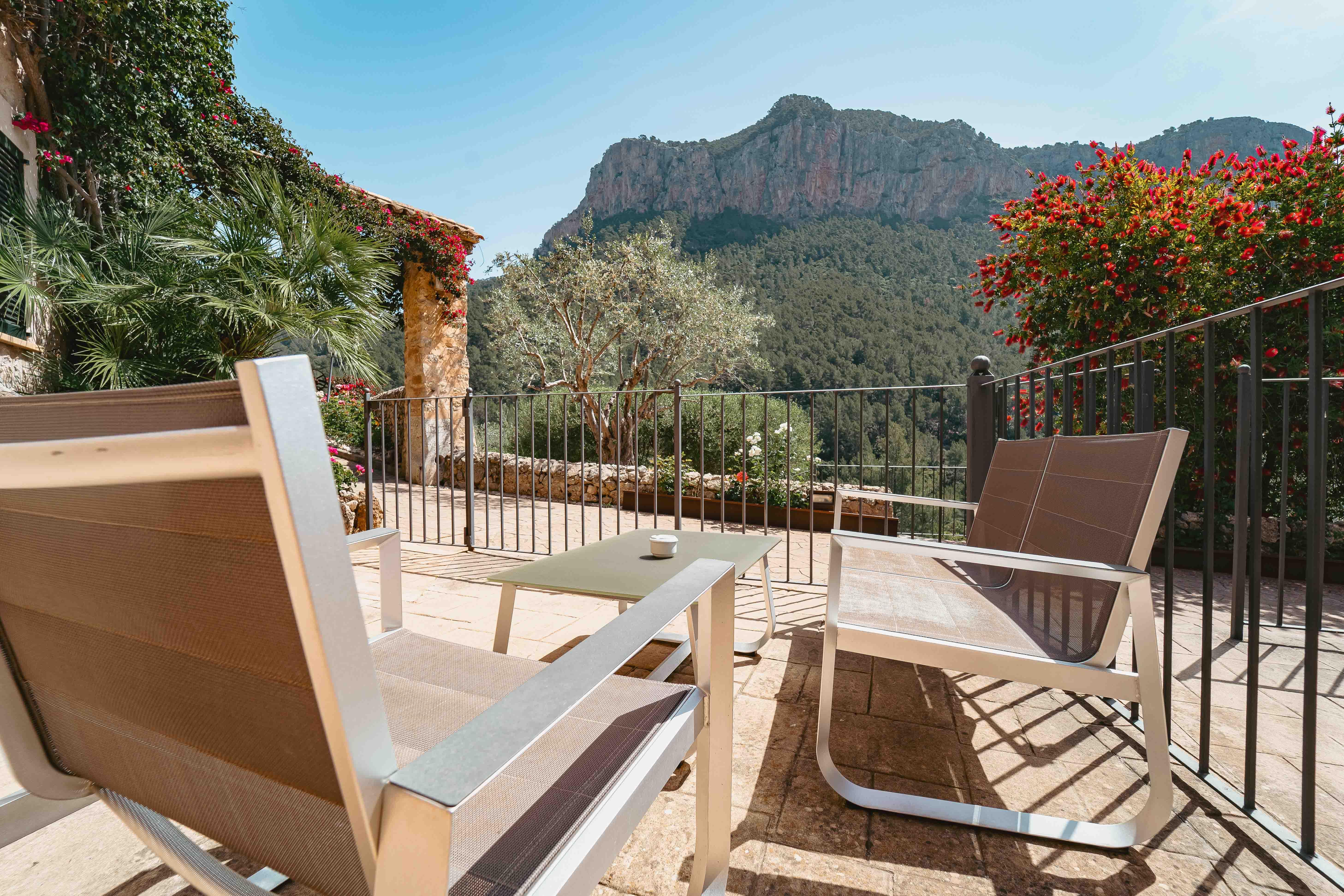 Double or Twin with Terrace