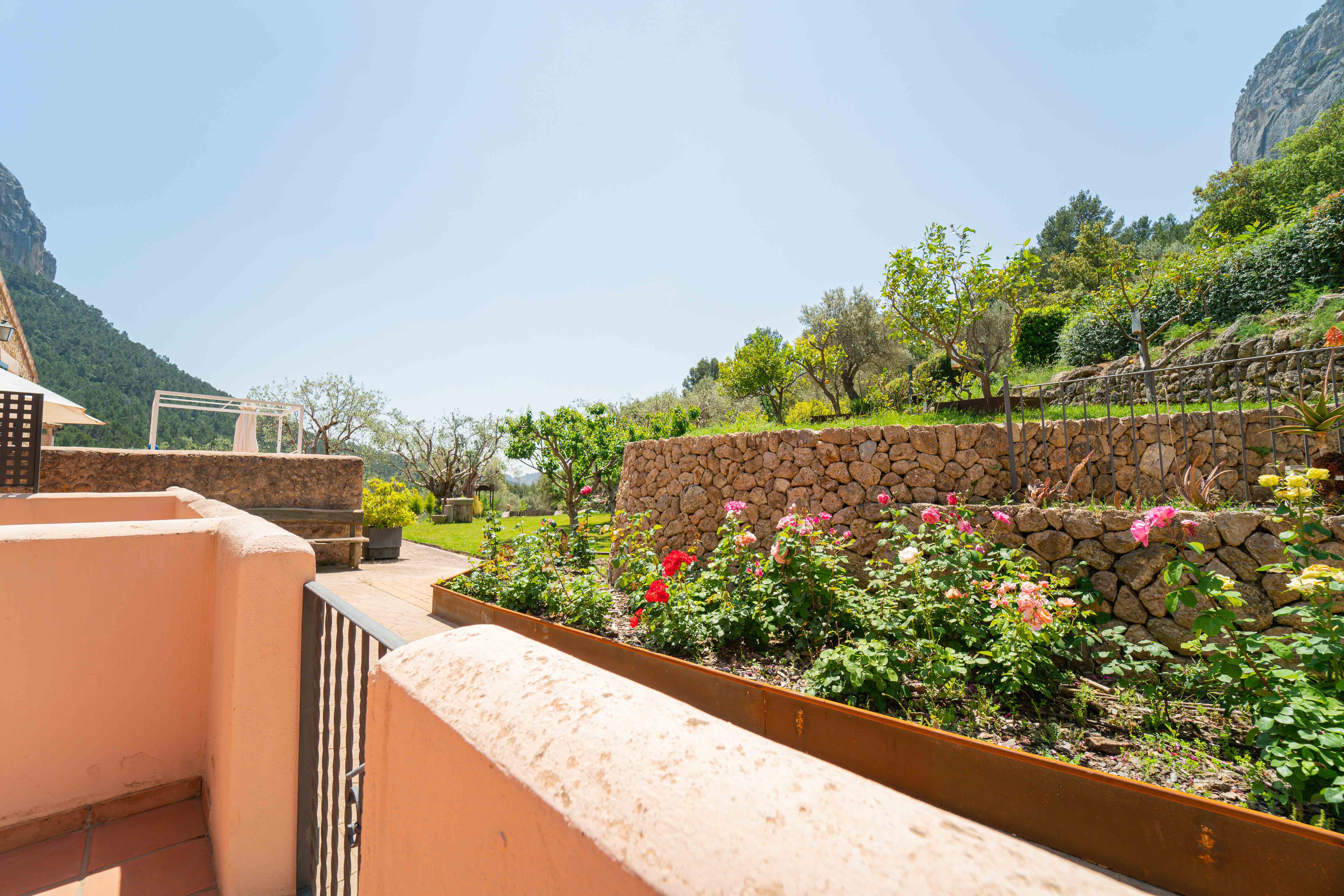 Double or Twin with Terrace