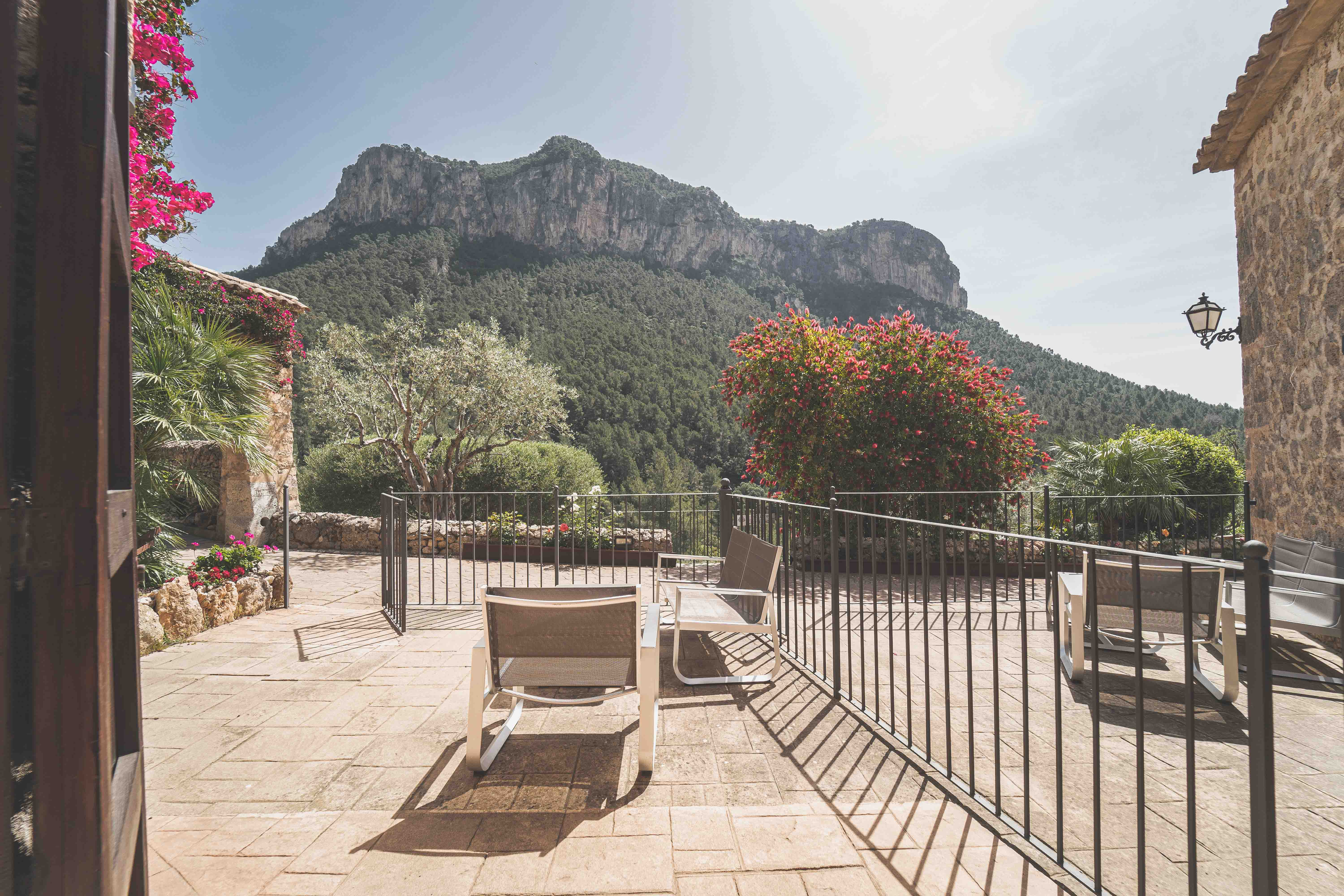 Double or Twin with Terrace