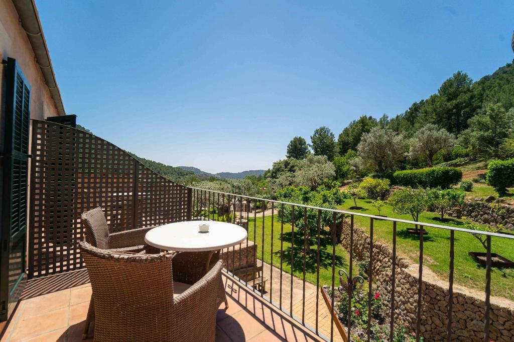 Double or Twin with Terrace