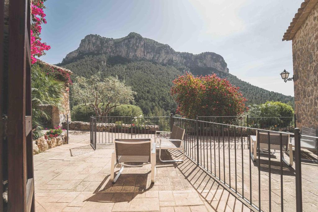 Double or Twin with Terrace