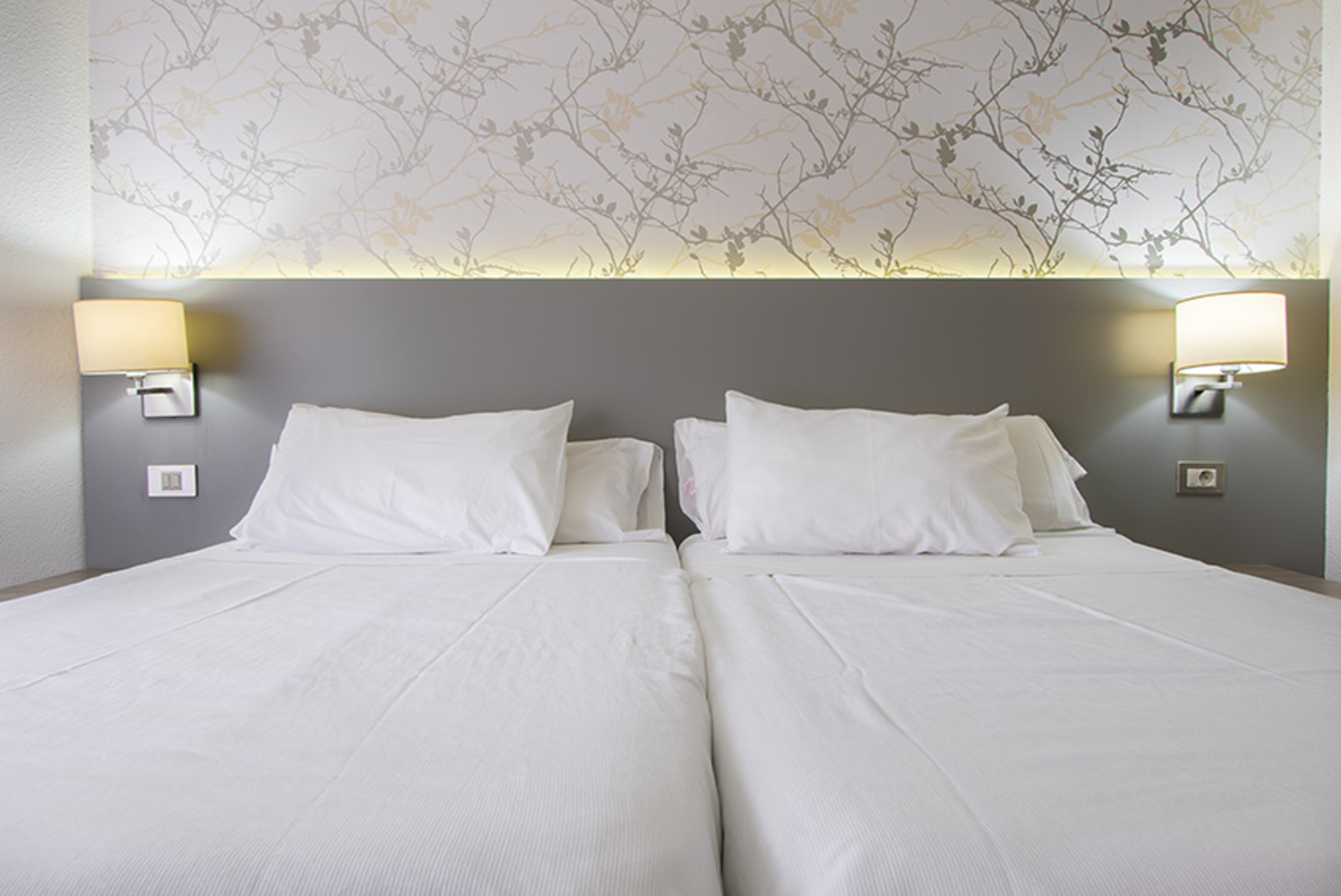 Apartment One Bedroom