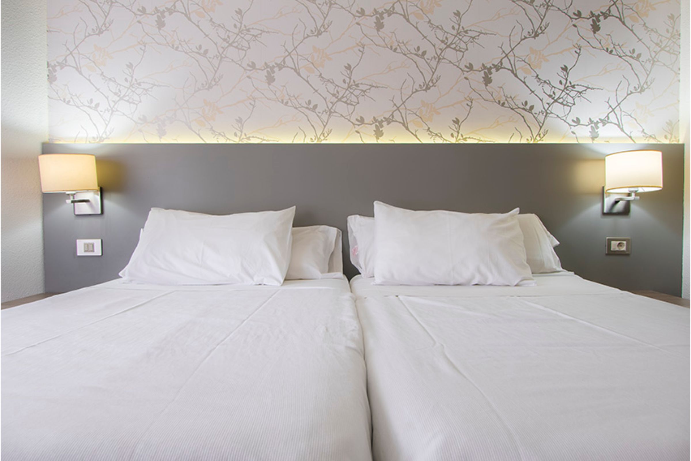 Apartment One Bedroom