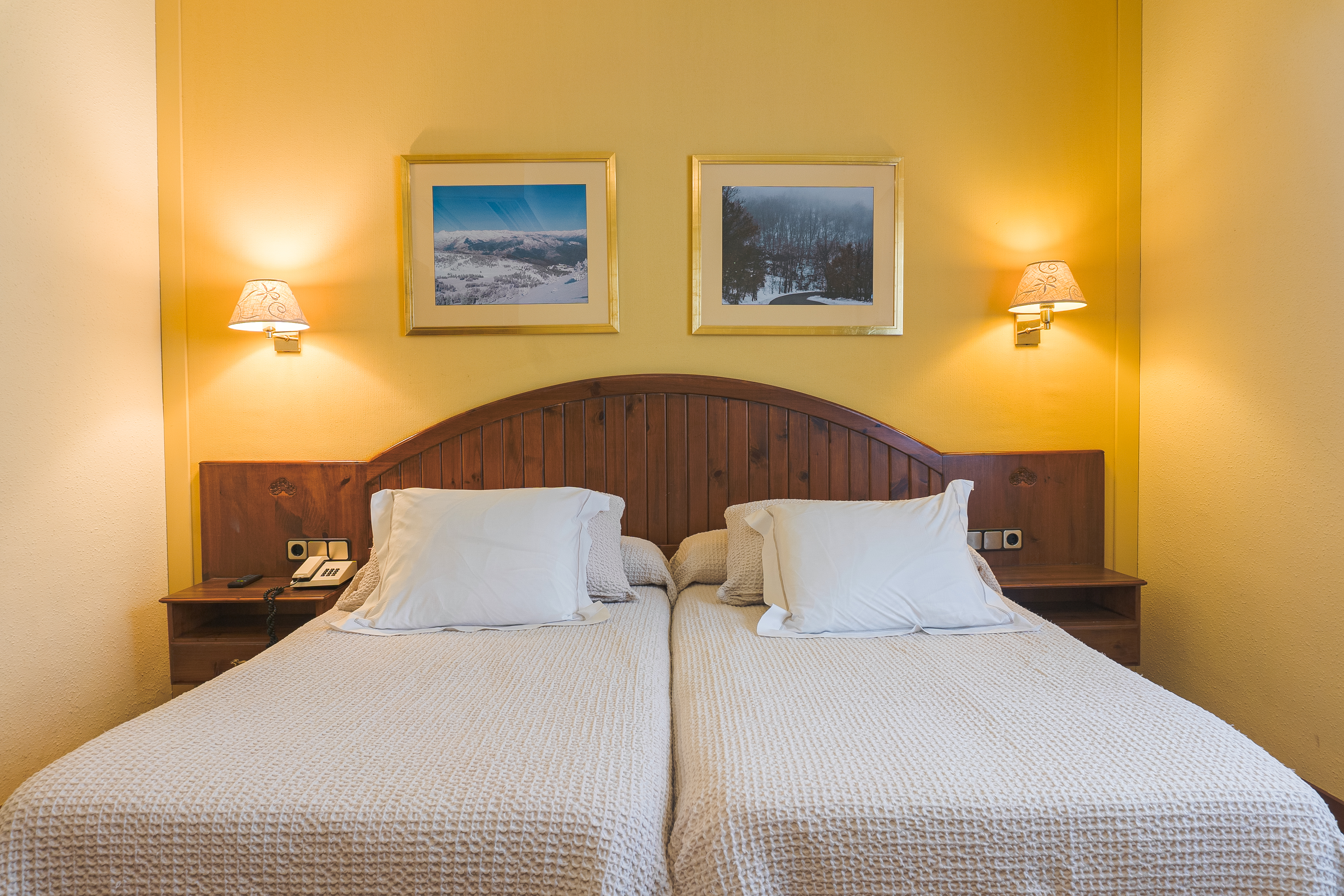 Double or Twin Standard