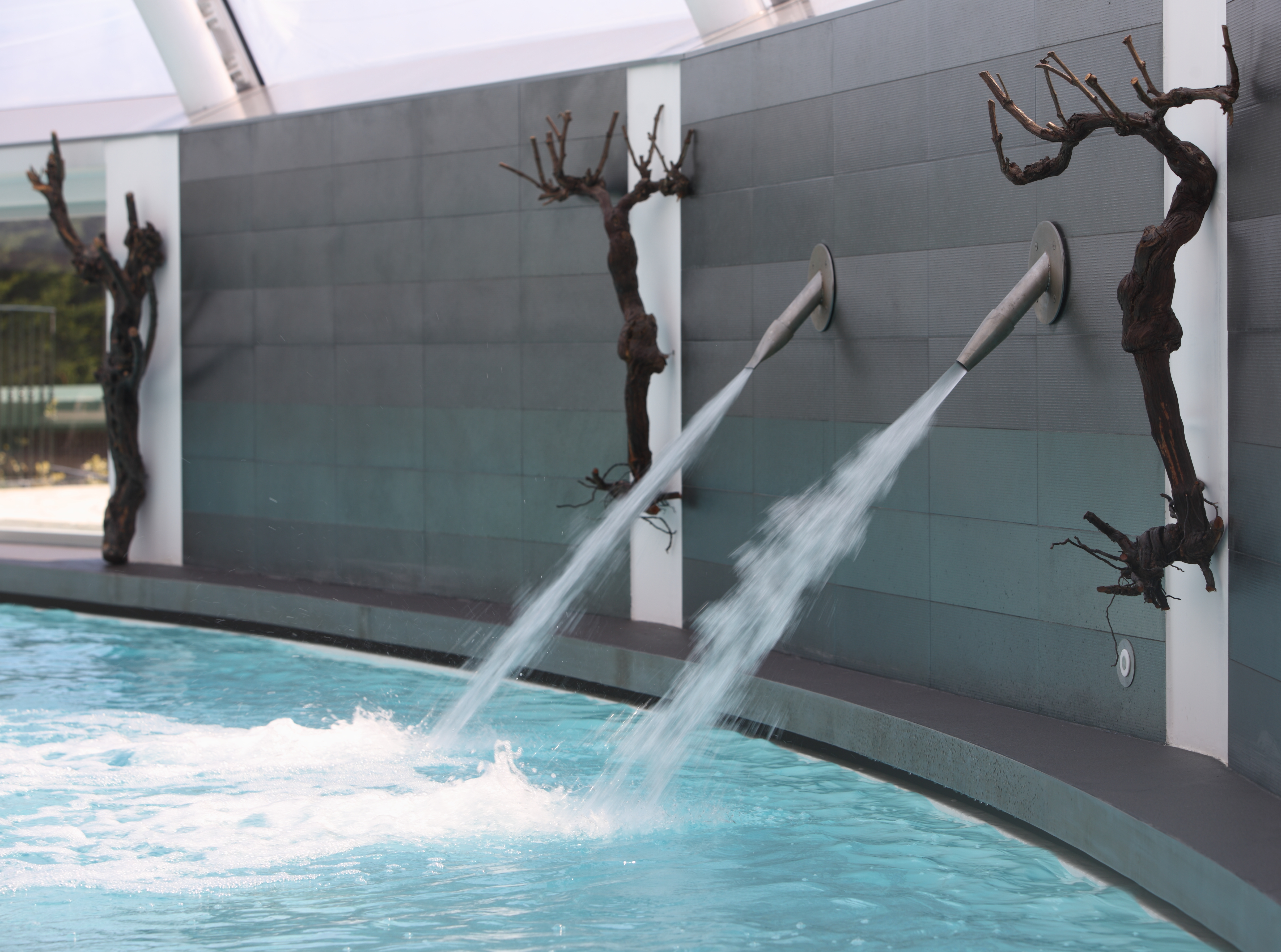 Double Single Superior