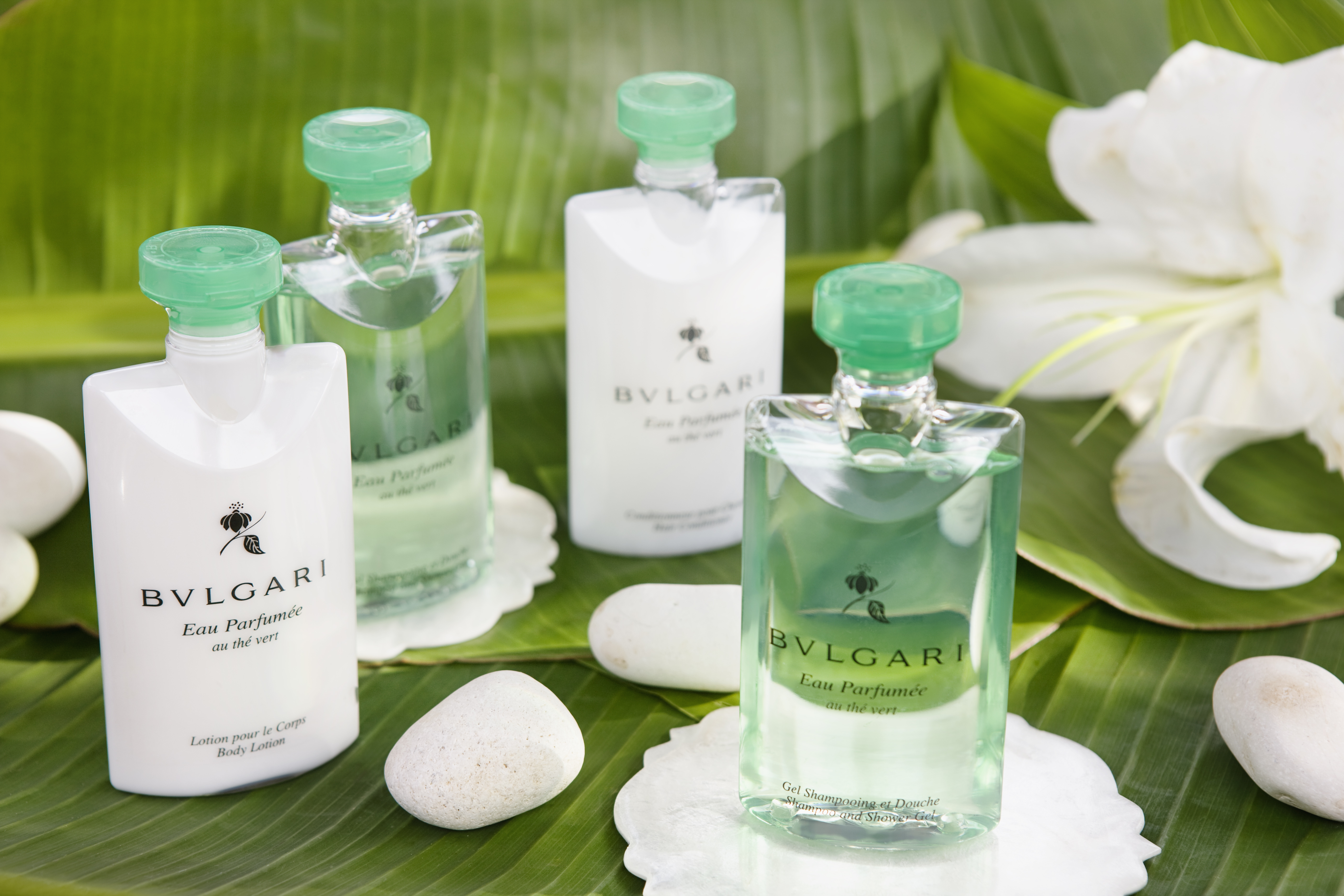 Suite Club Ocean View