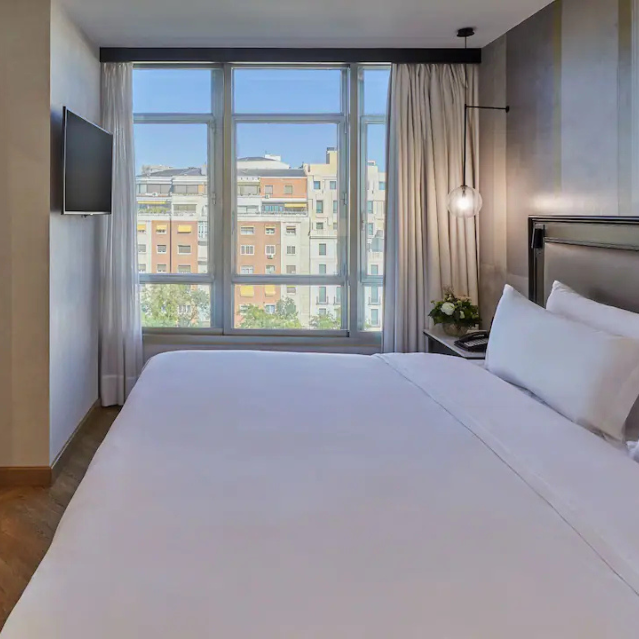 Suite Executive