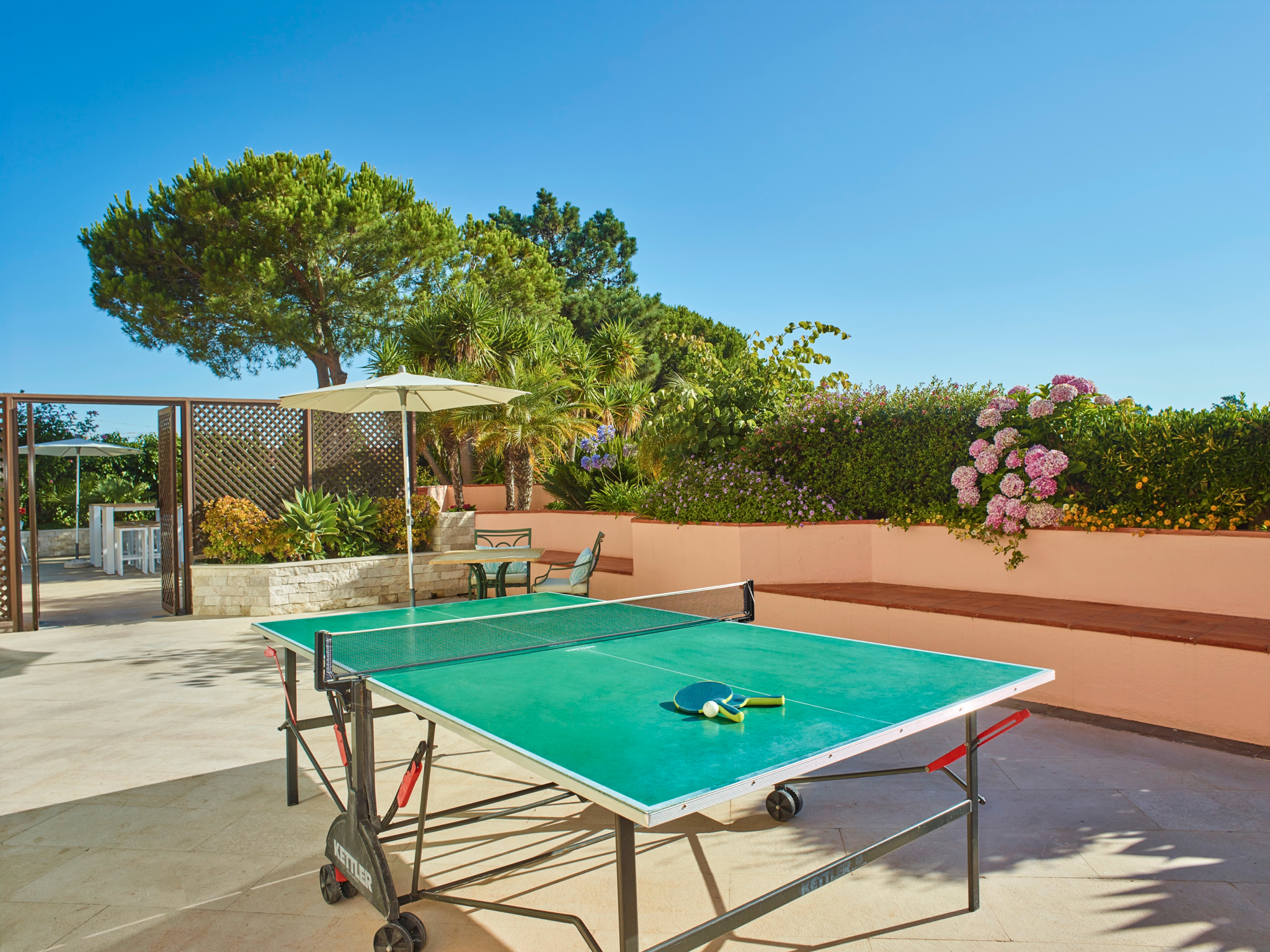 Sports and Entertainment