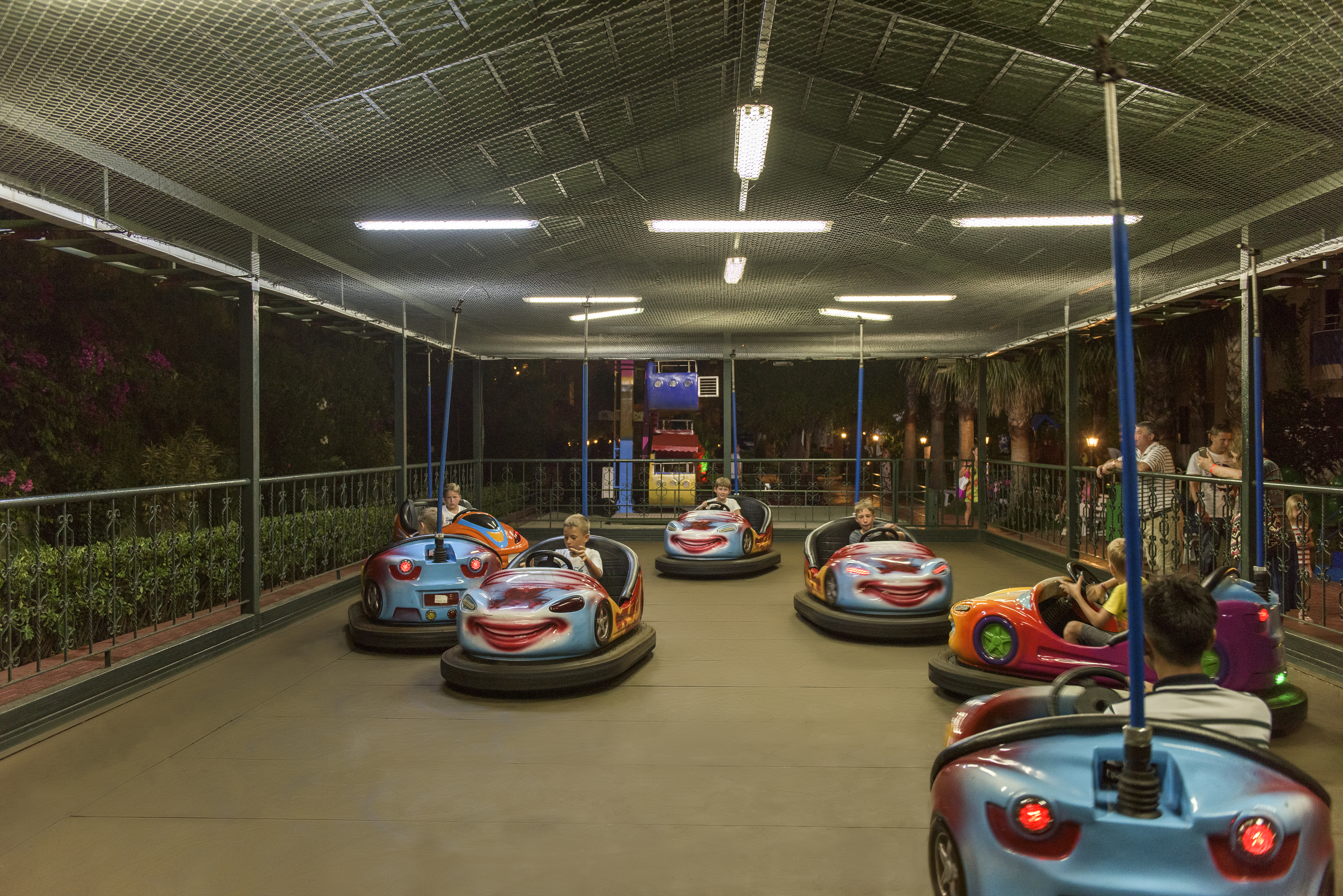 Sports and Entertainment