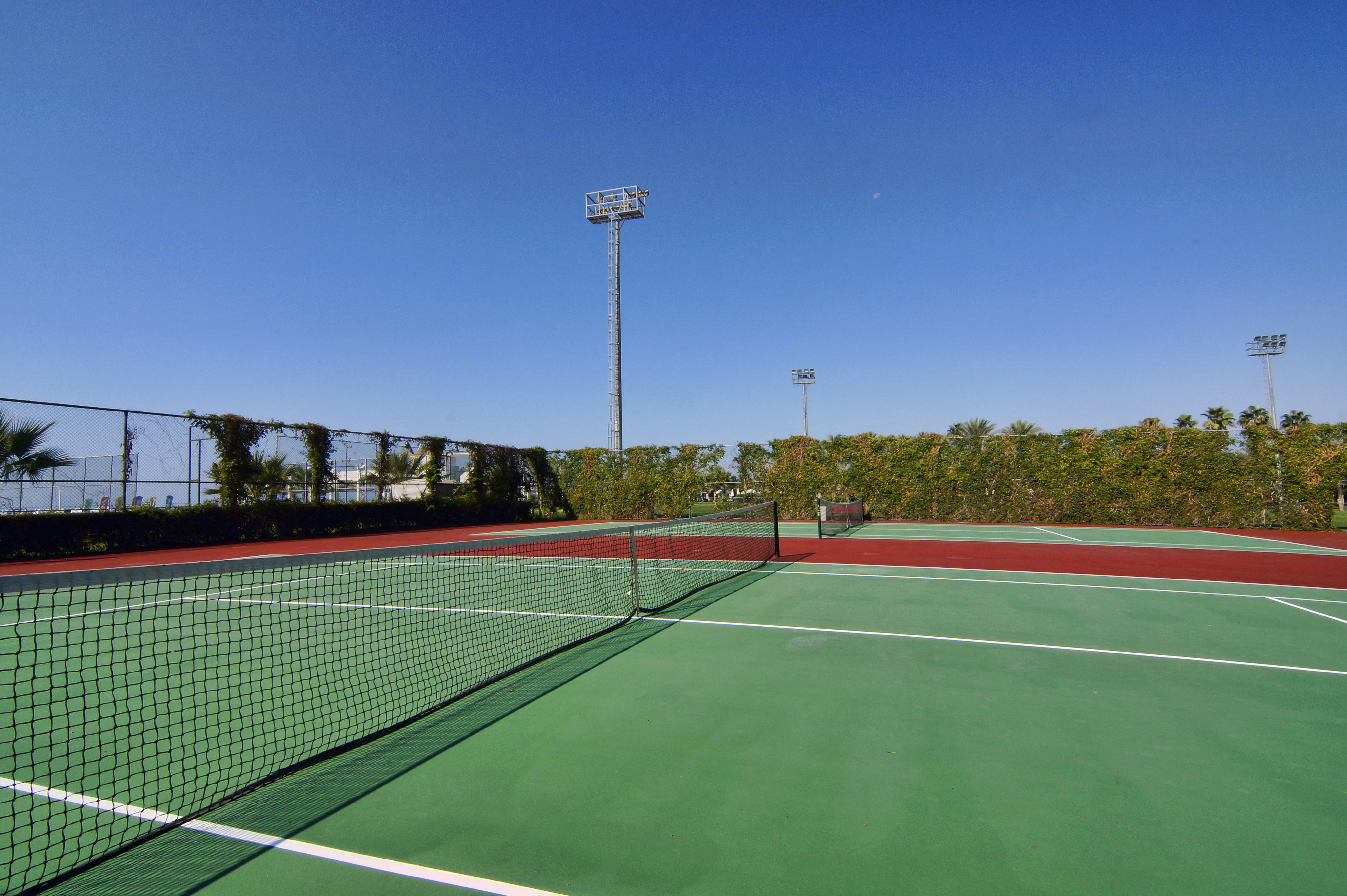 Sports and Entertainment