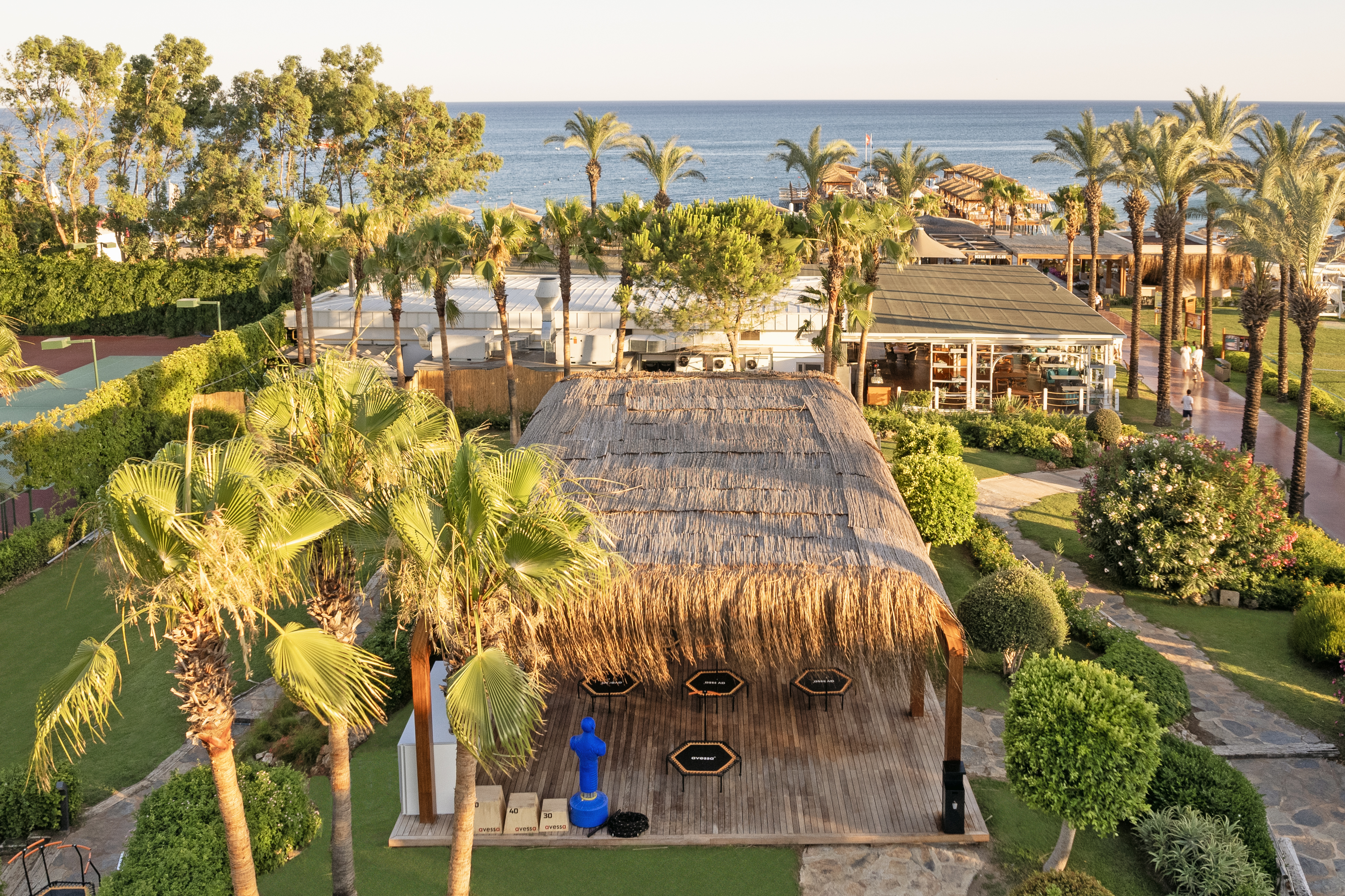 Sports and Entertainment