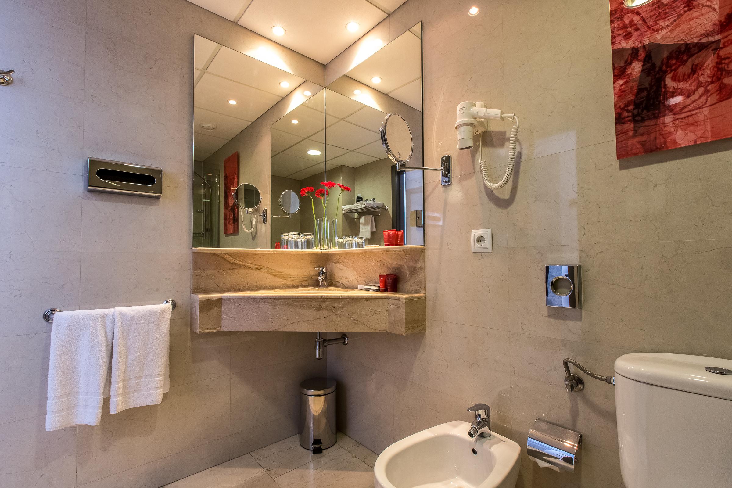 Double or Twin Superior