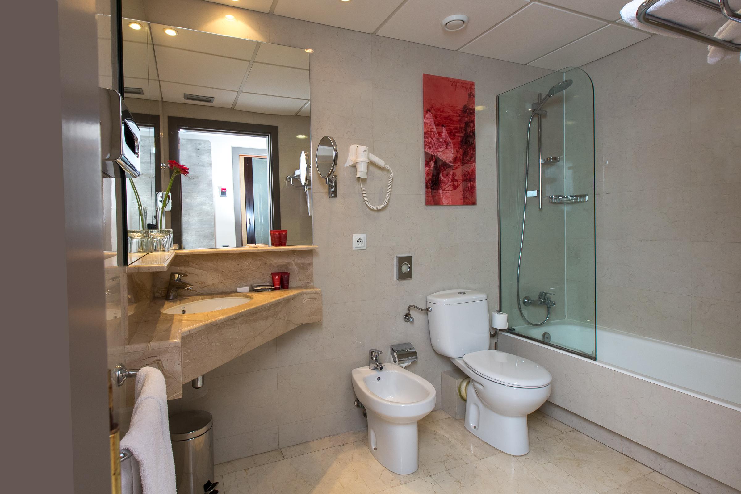 Double or Twin Superior