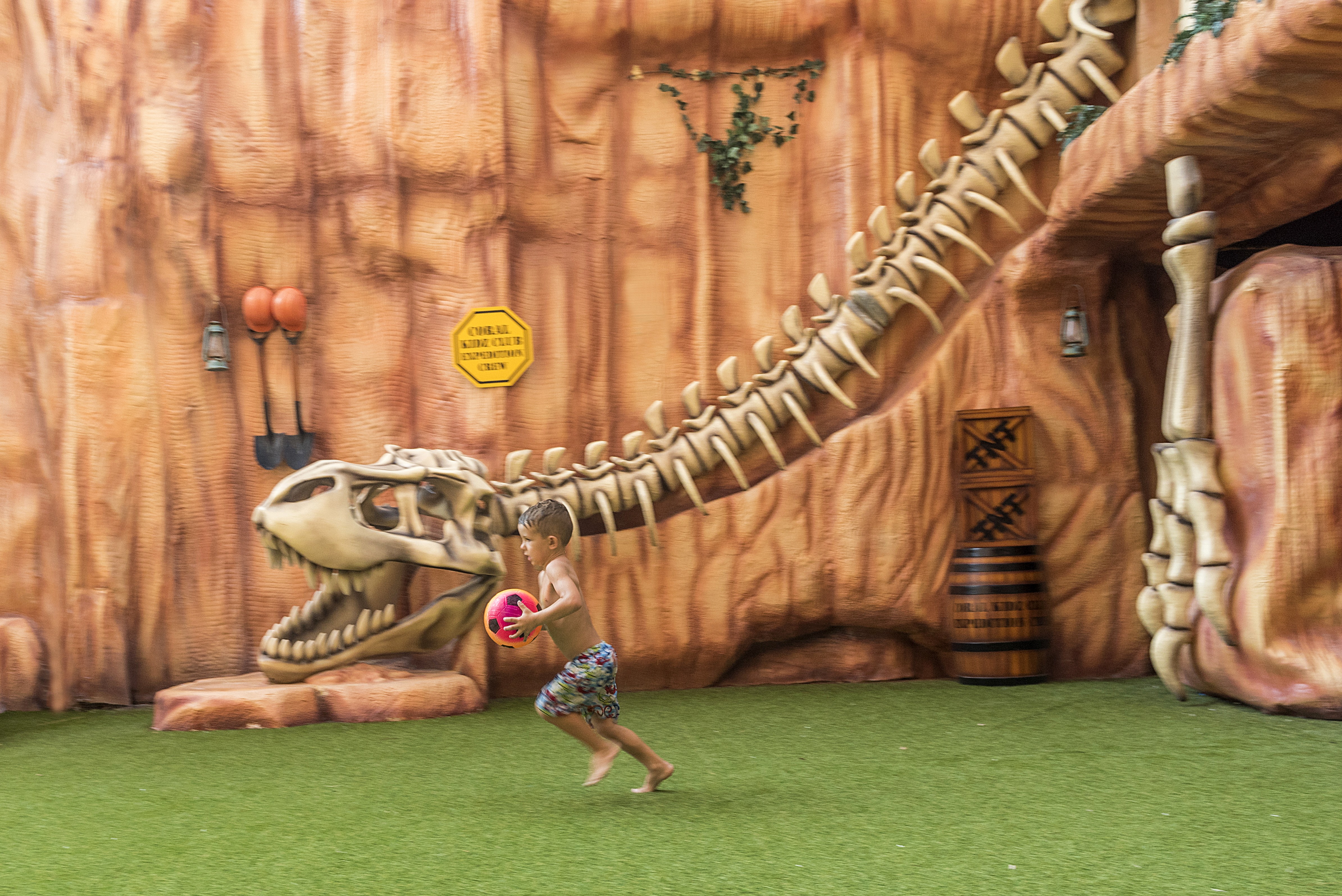 Sports and Entertainment