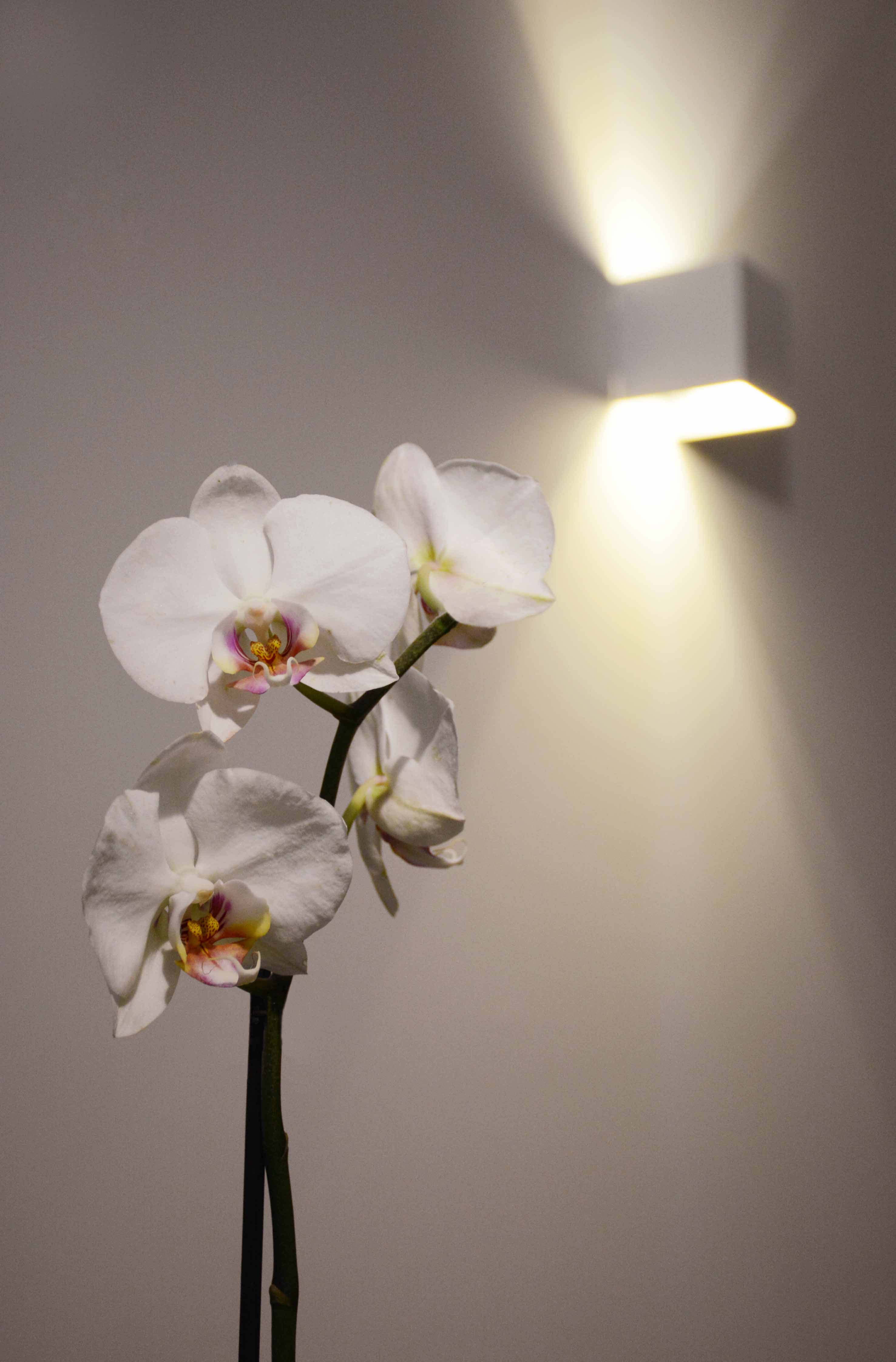 Double or Twin with Balcony