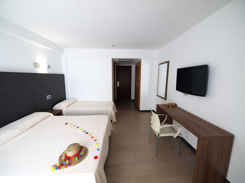 Double or Twin Standard