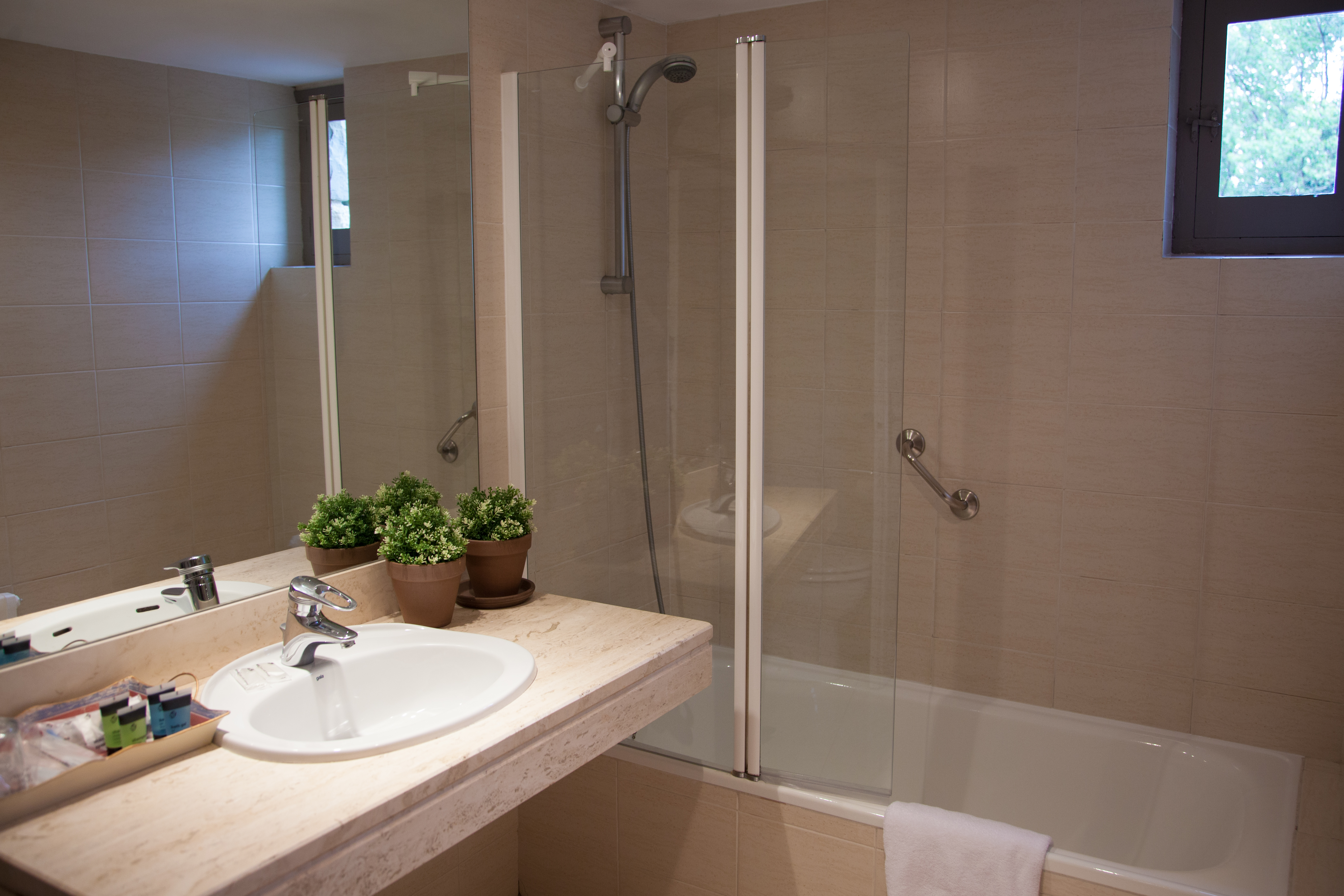 Double or Twin Standard