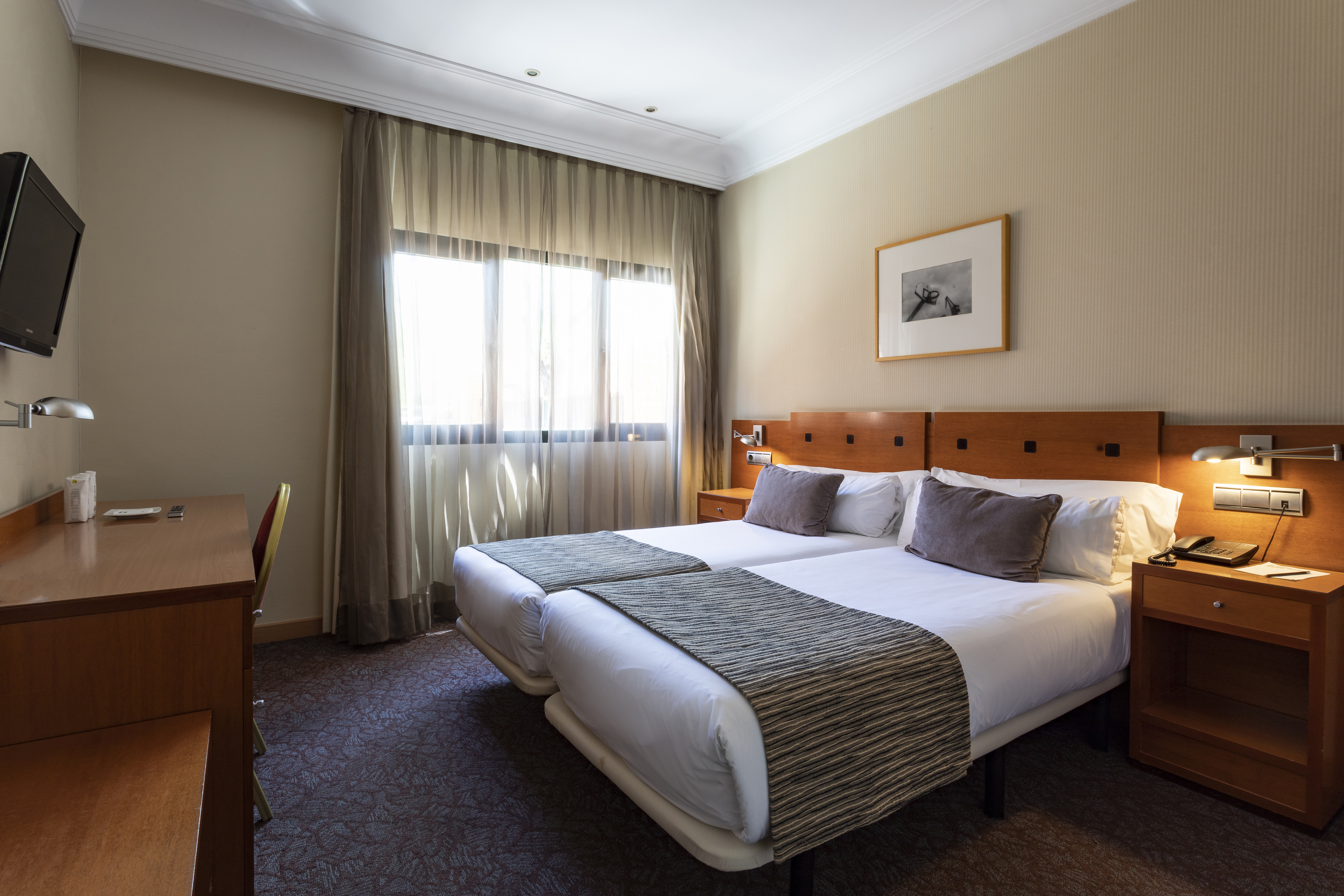 Double or Twin Standard