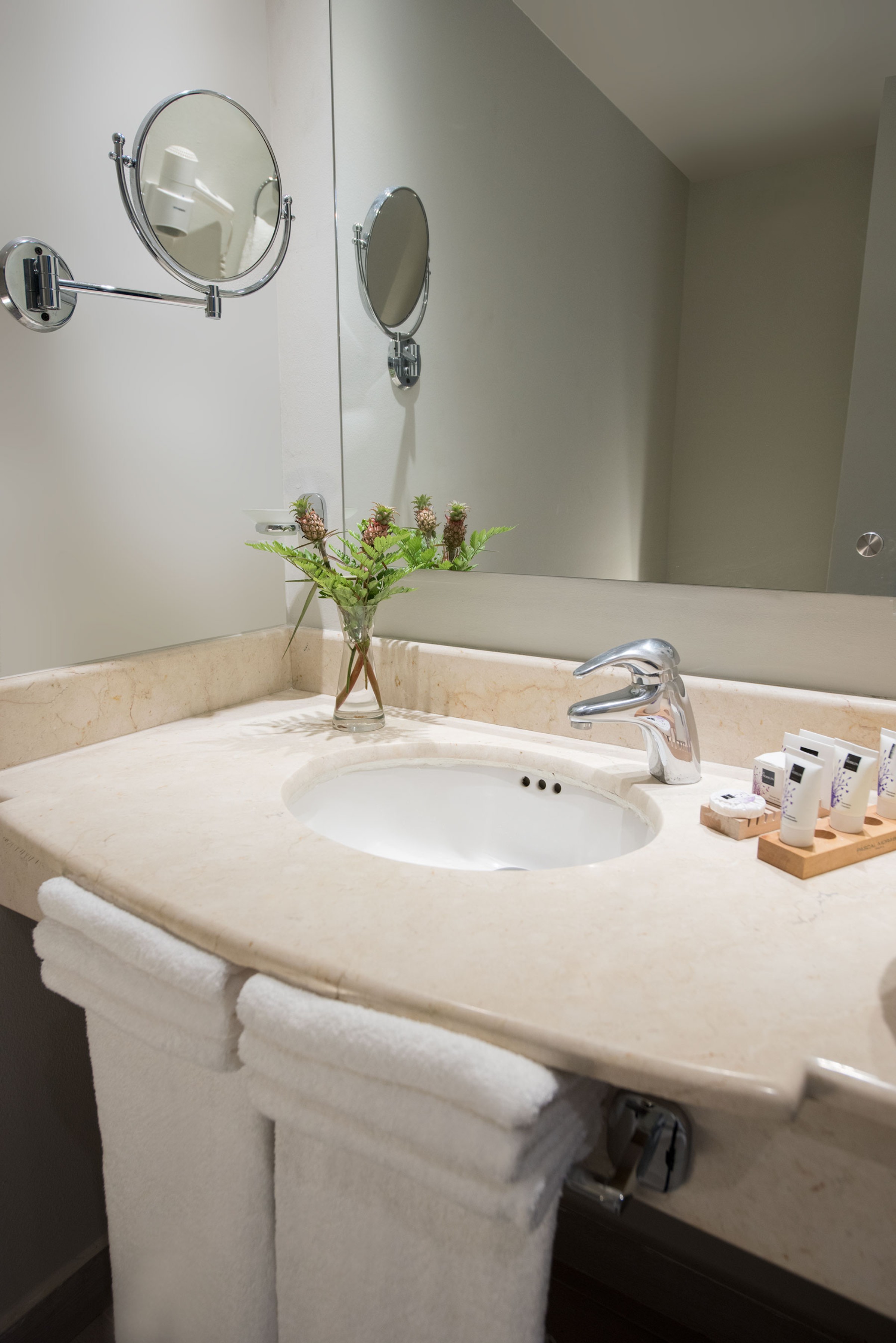 Single Deluxe Premium