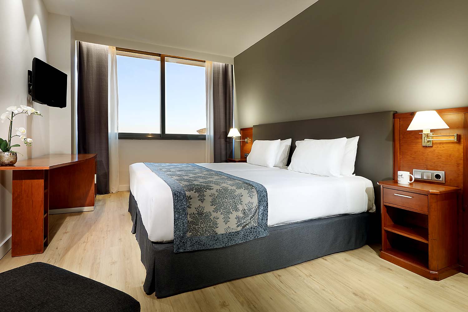 Double or Twin Standard