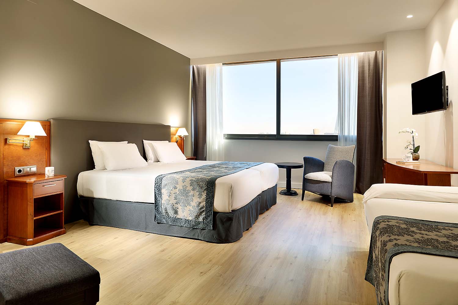 Double or Twin Standard