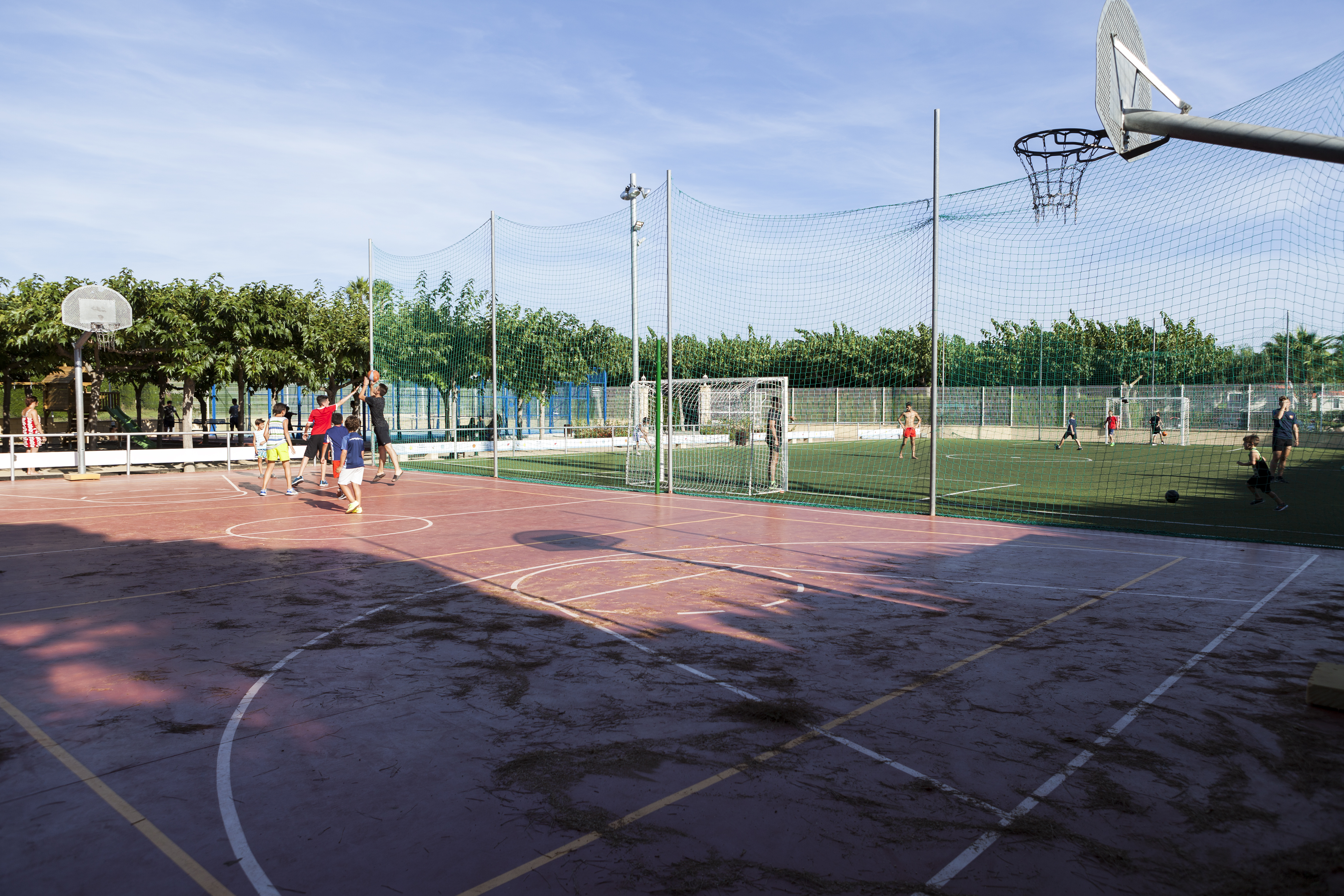 Sports and Entertainment