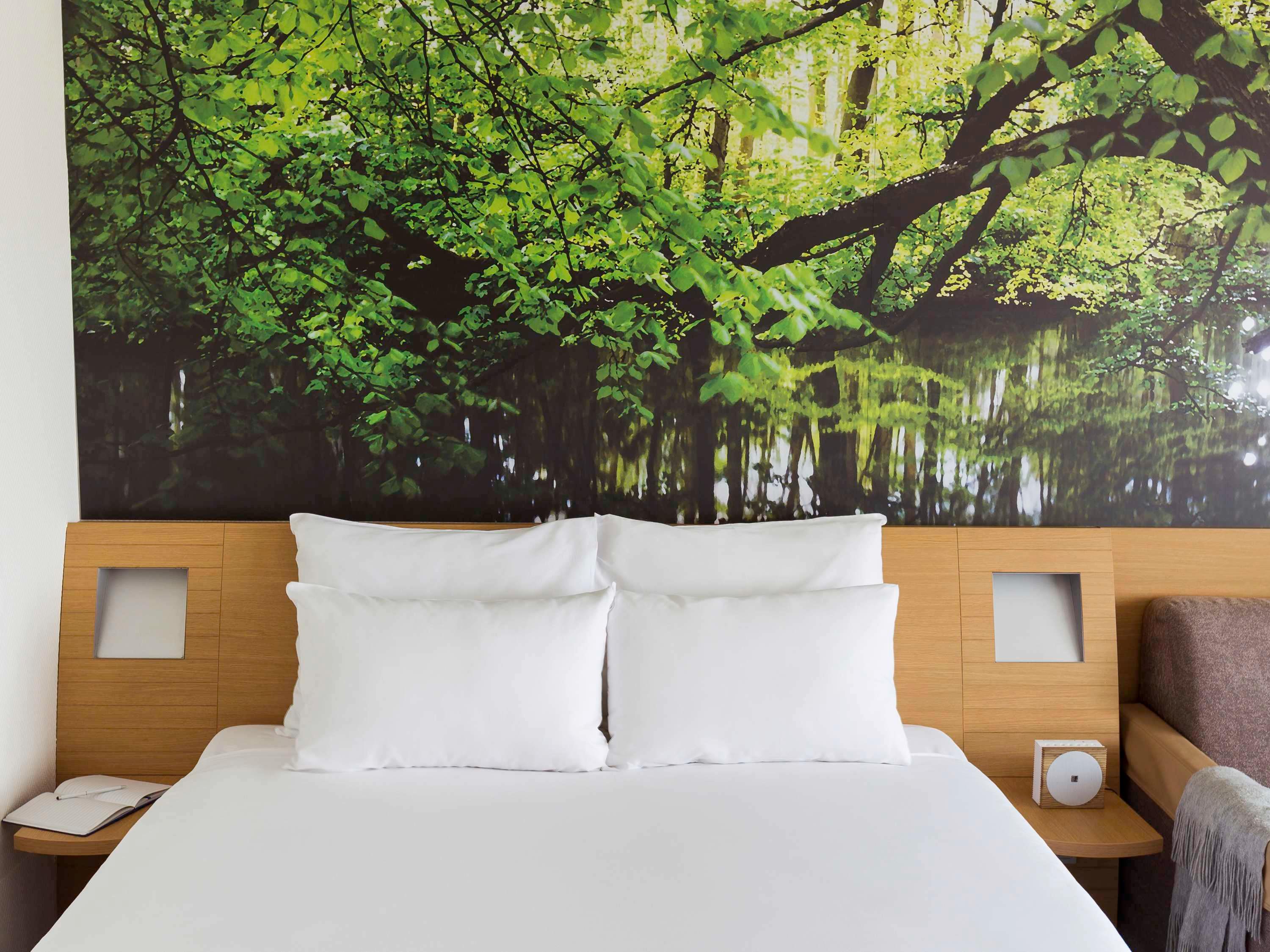 Double Queen Size Bed