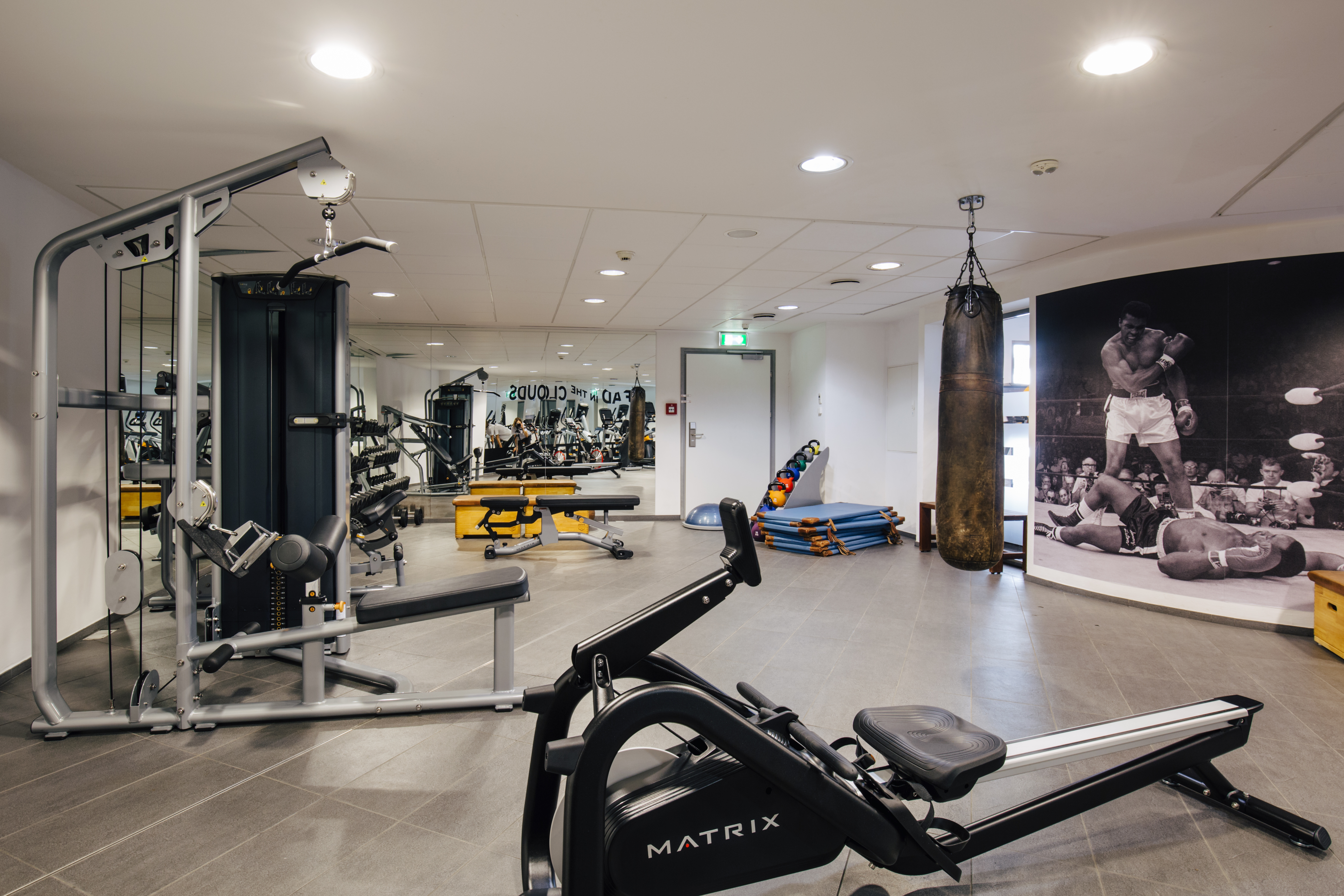 Sports and Entertainment