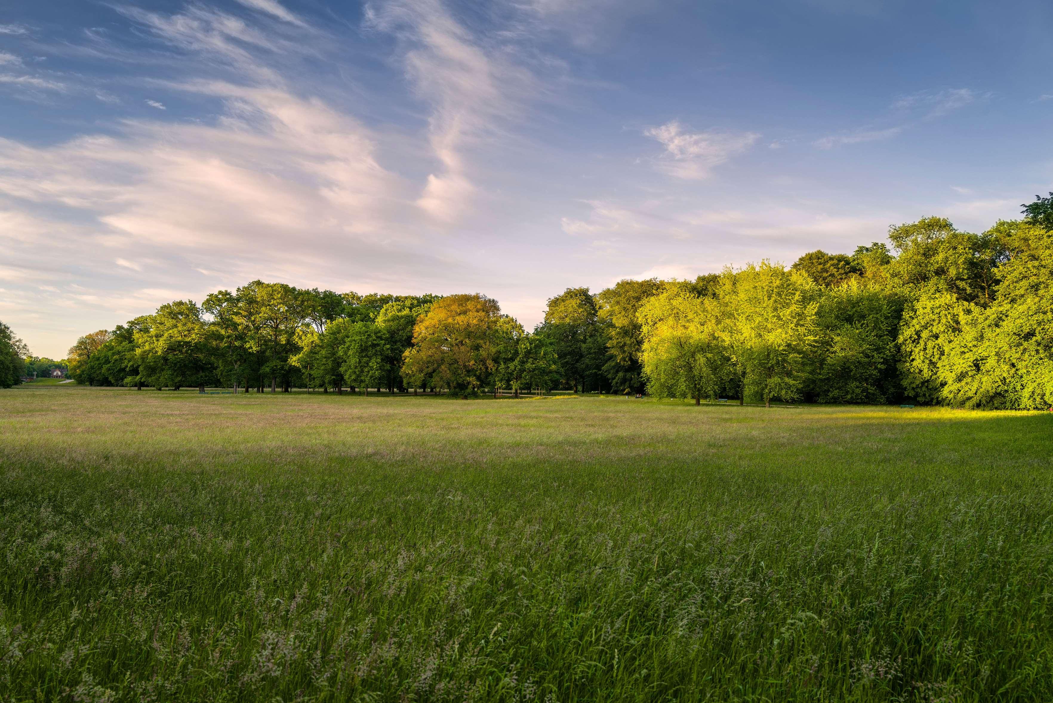 Double Single Standard