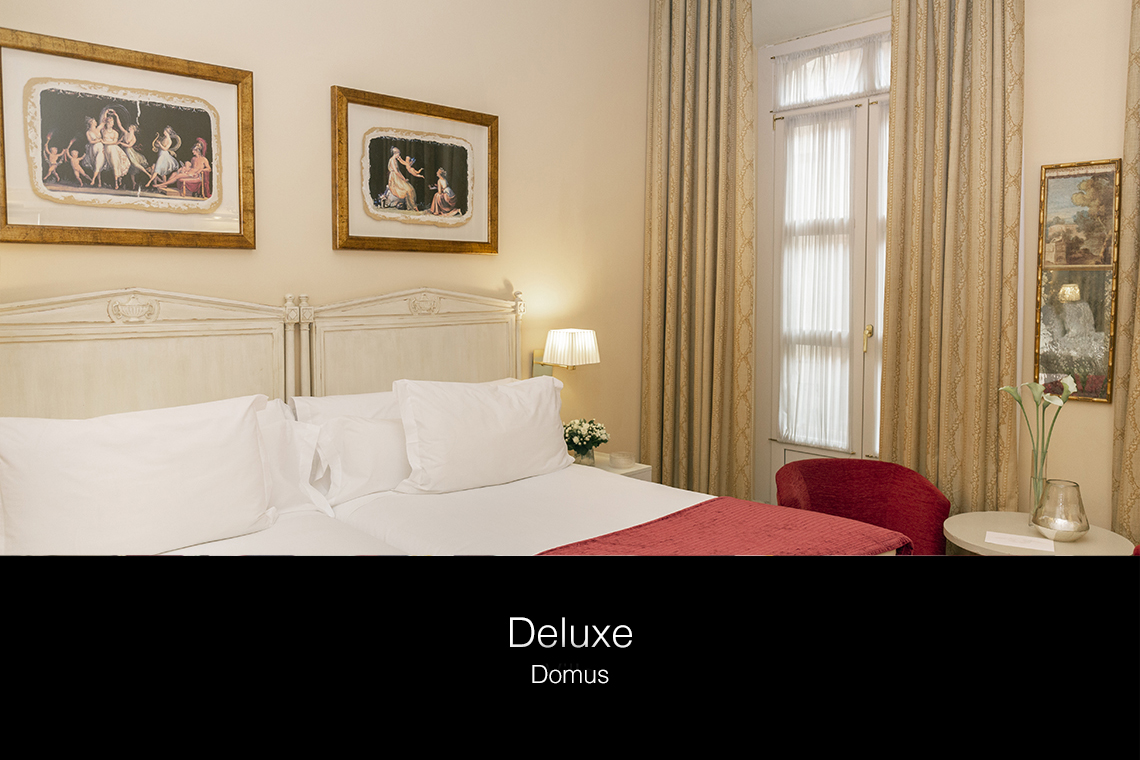 Double or Twin Deluxe