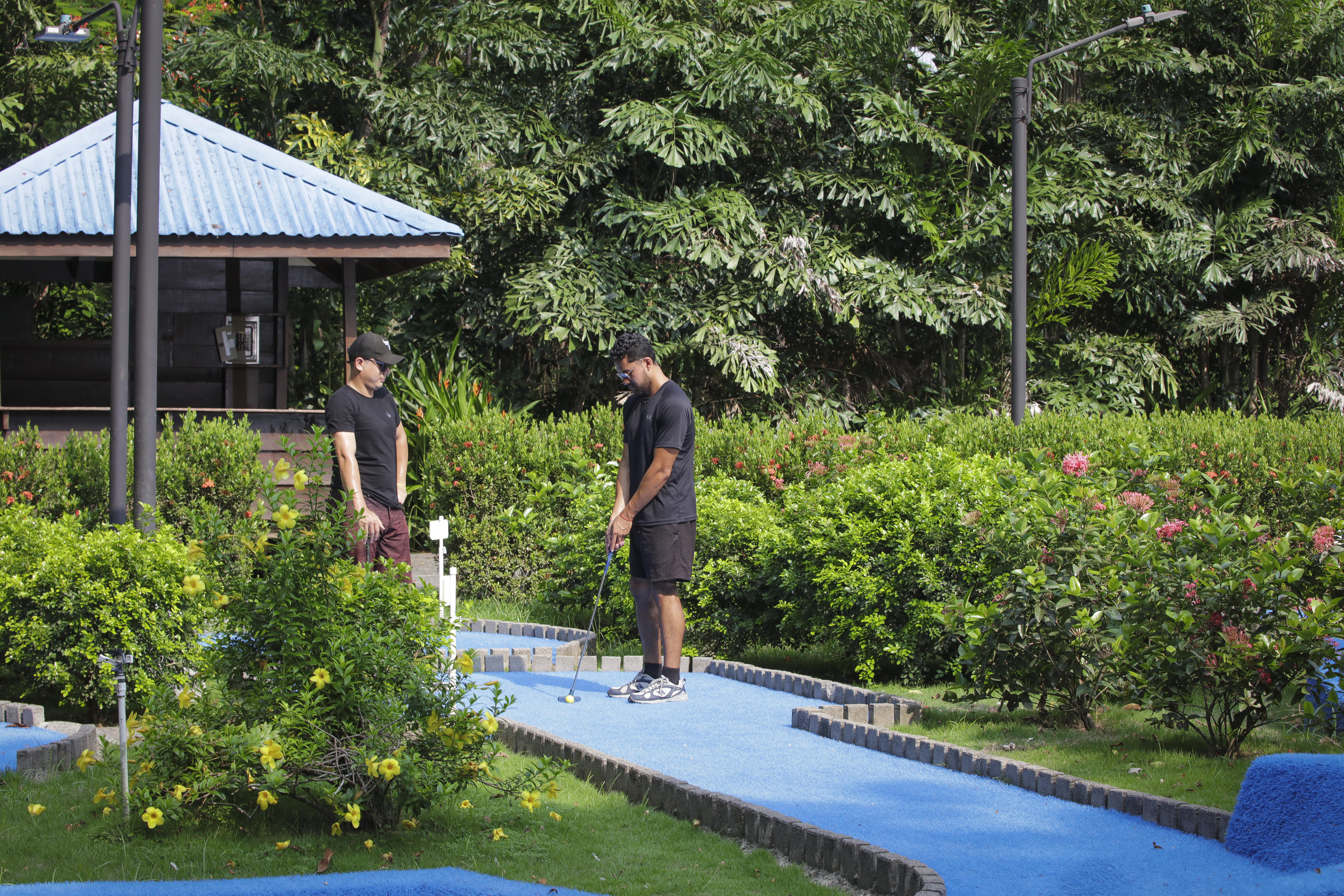 Sports and Entertainment