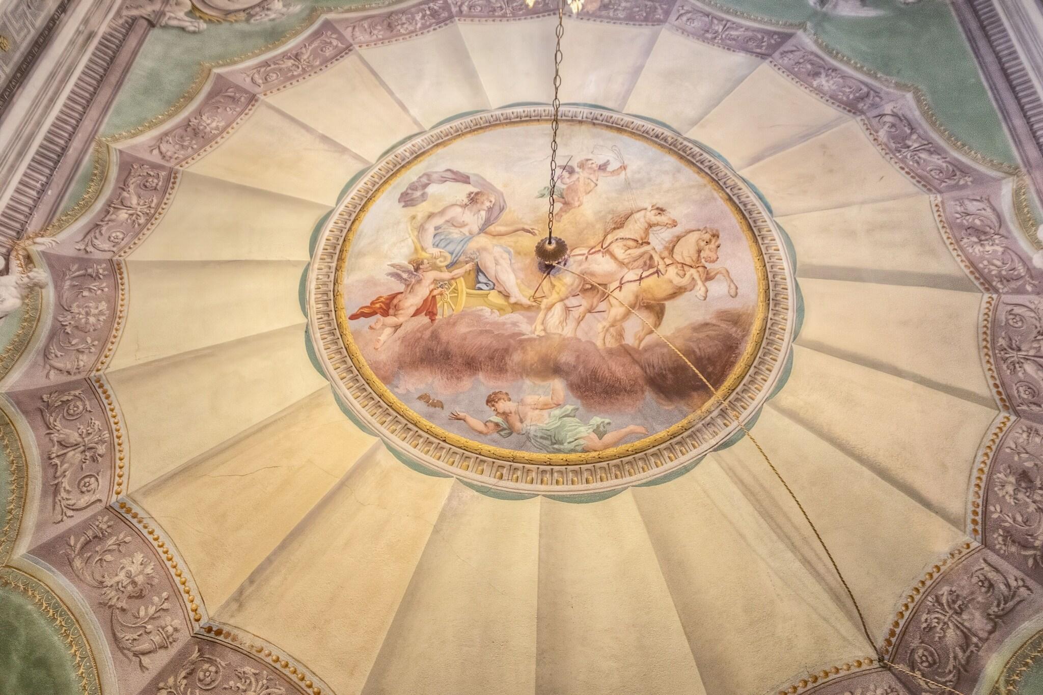 Double Single Superior