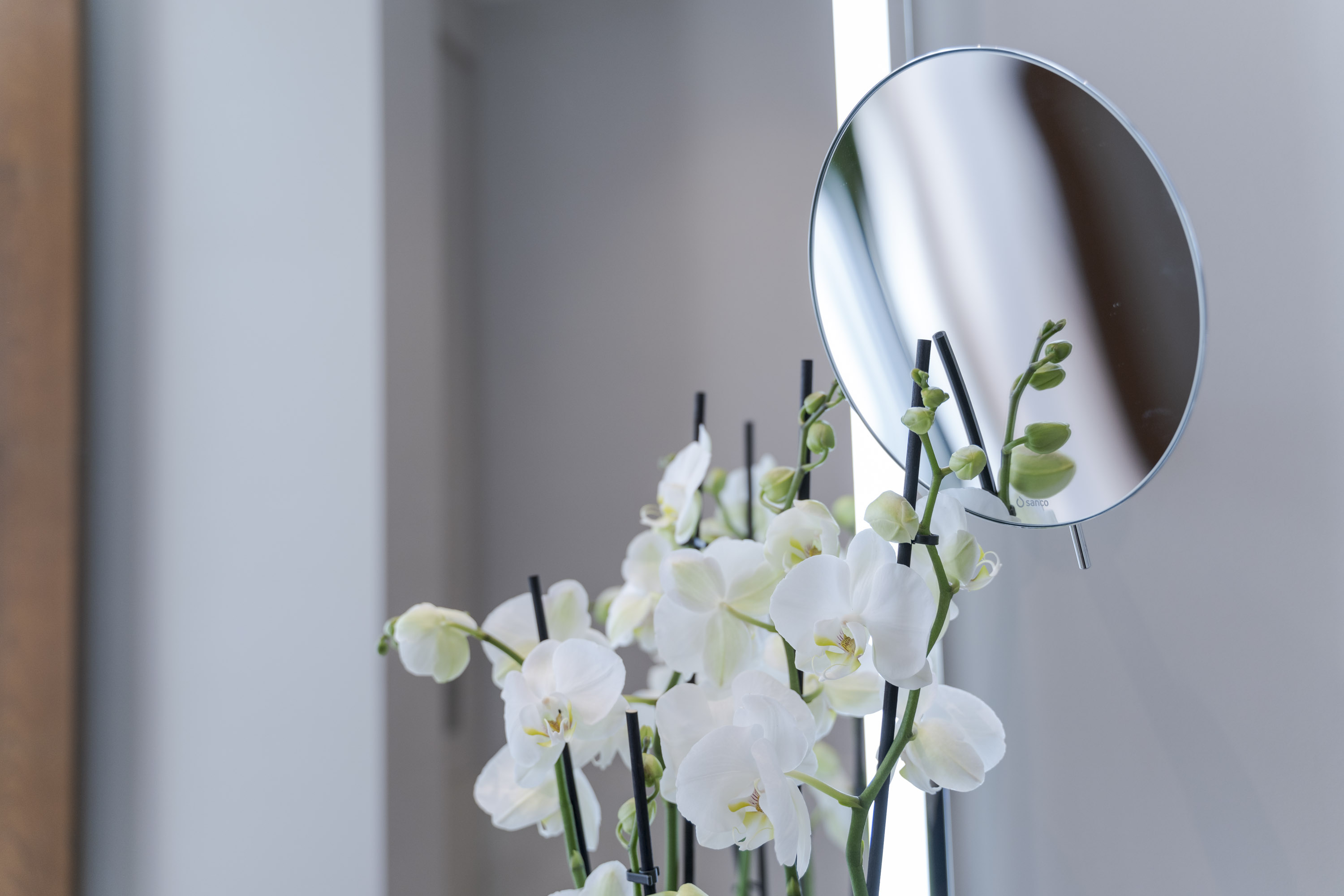 Family Room Superior