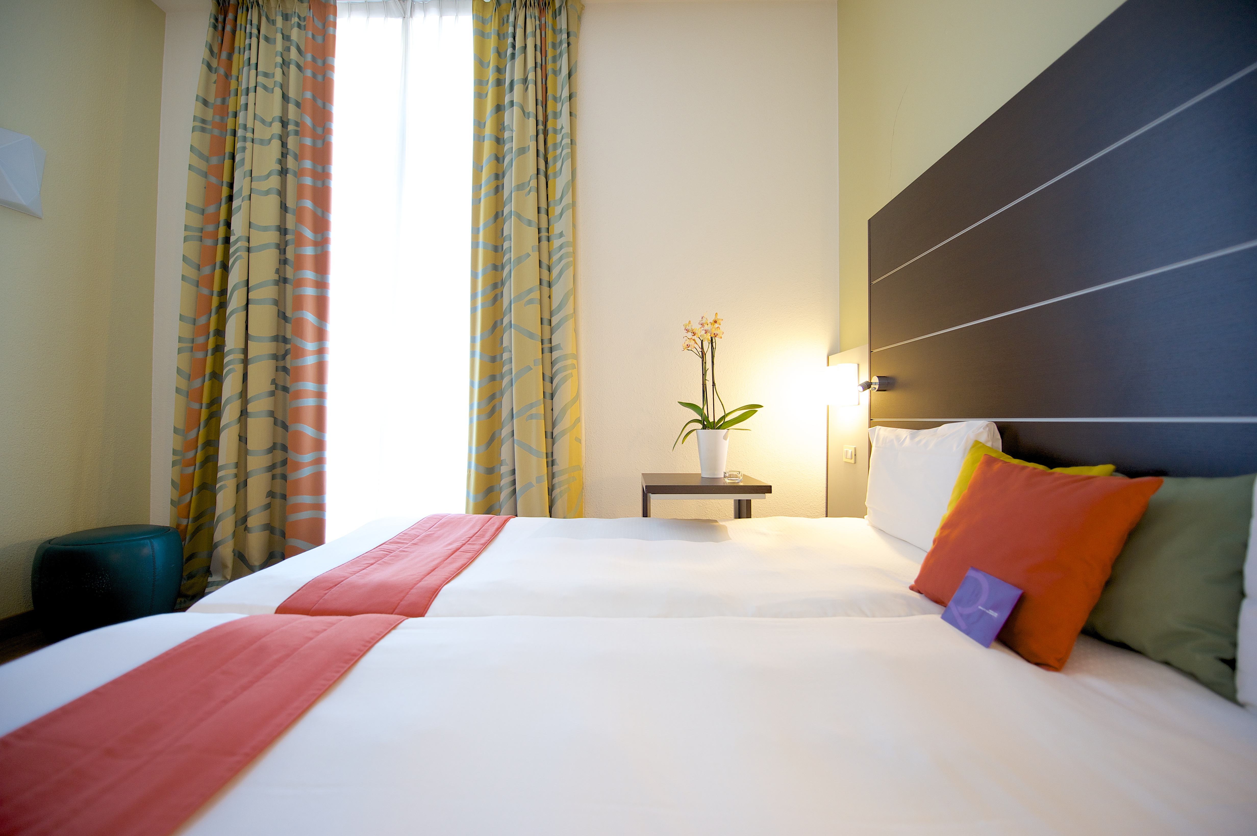 Double or Twin Standard