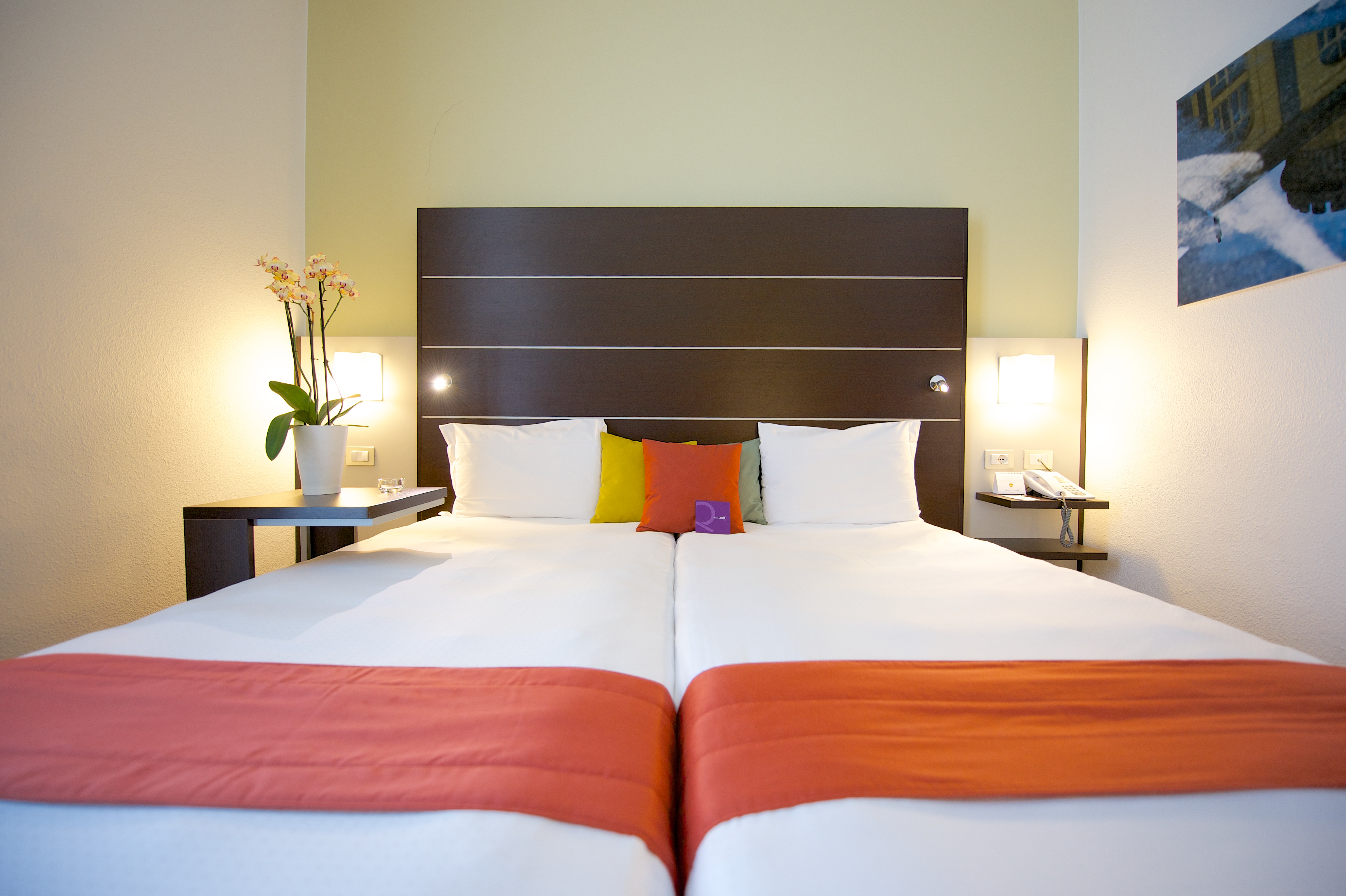 Double or Twin Standard