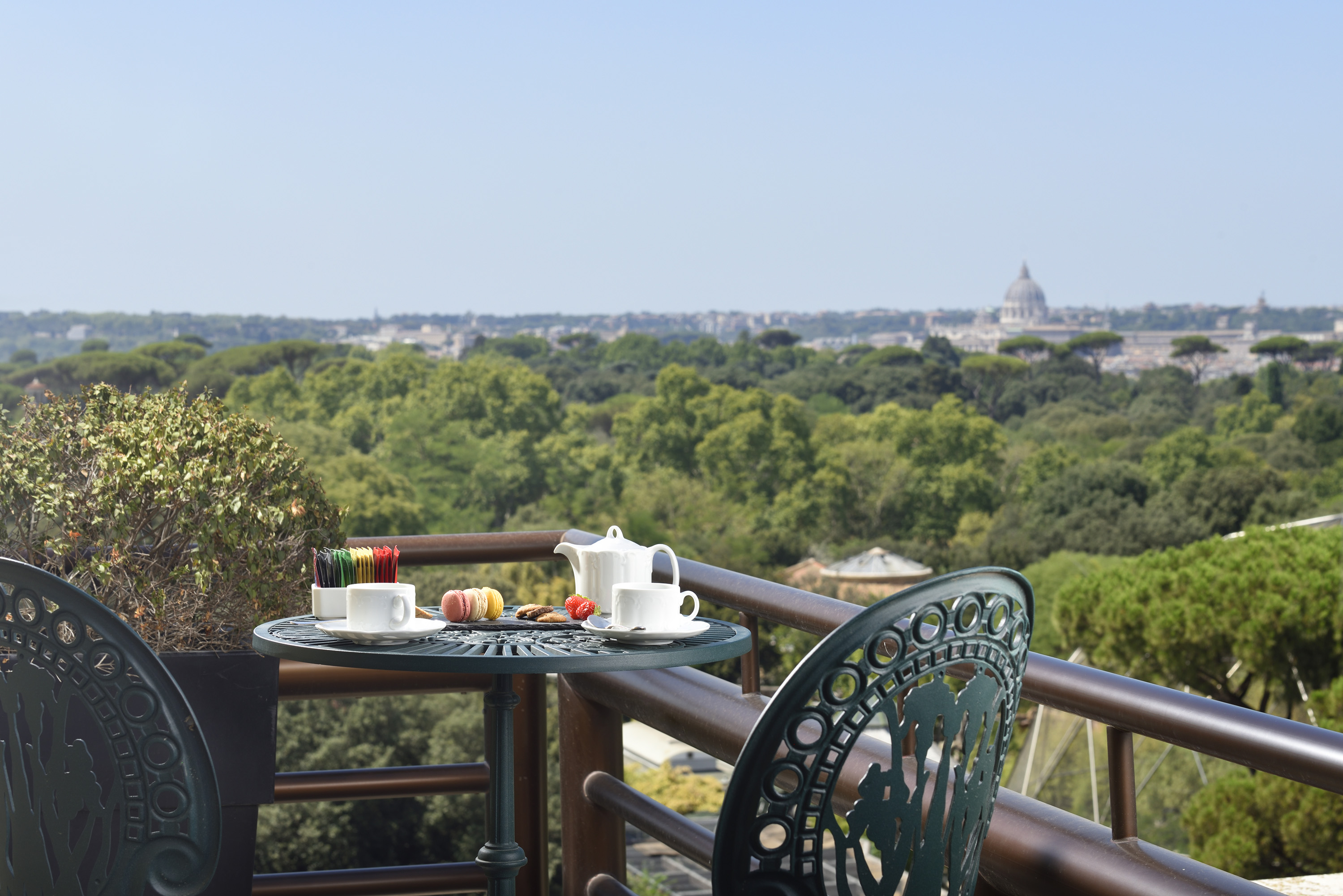 Suite Executive Garden View