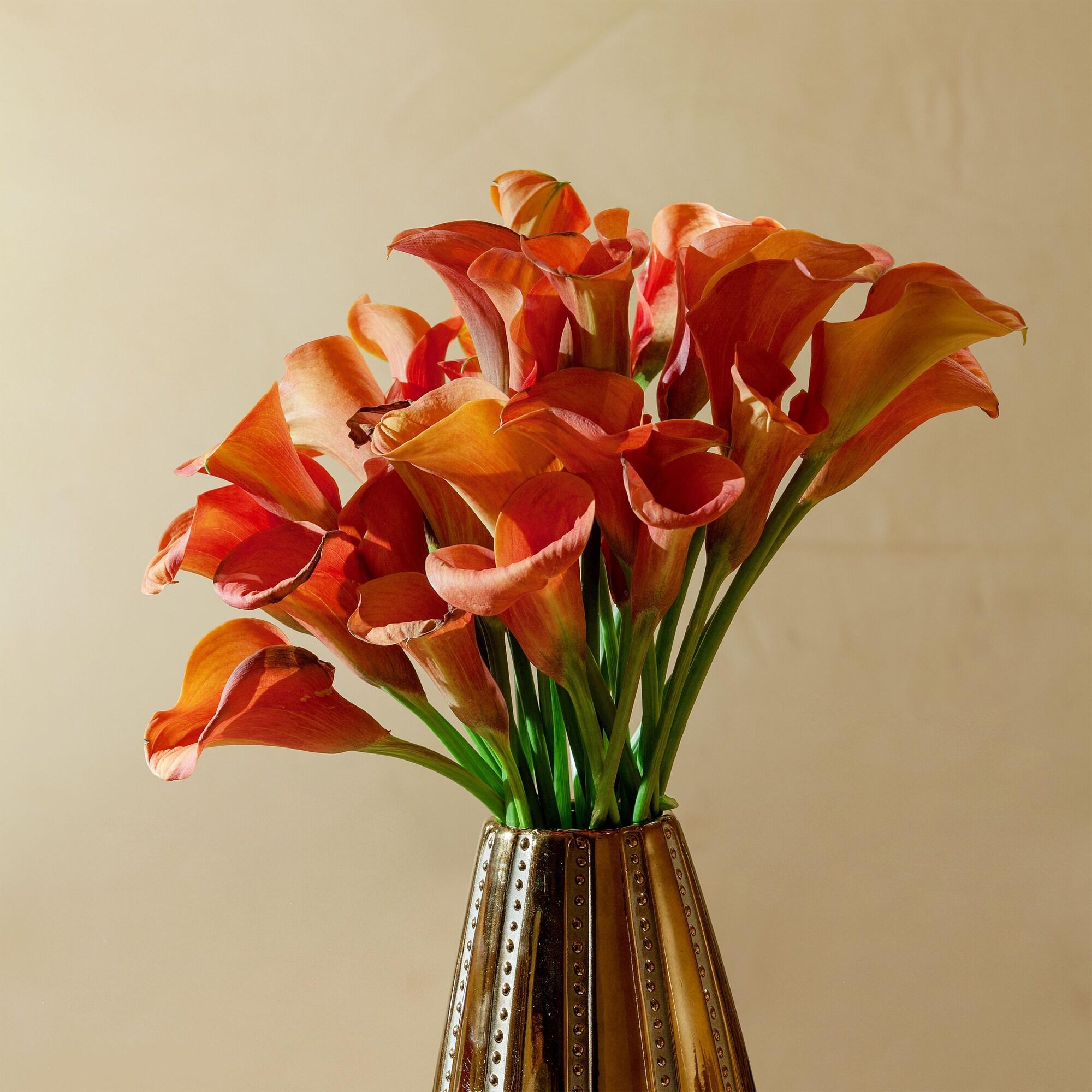 Double Classic Double Bed