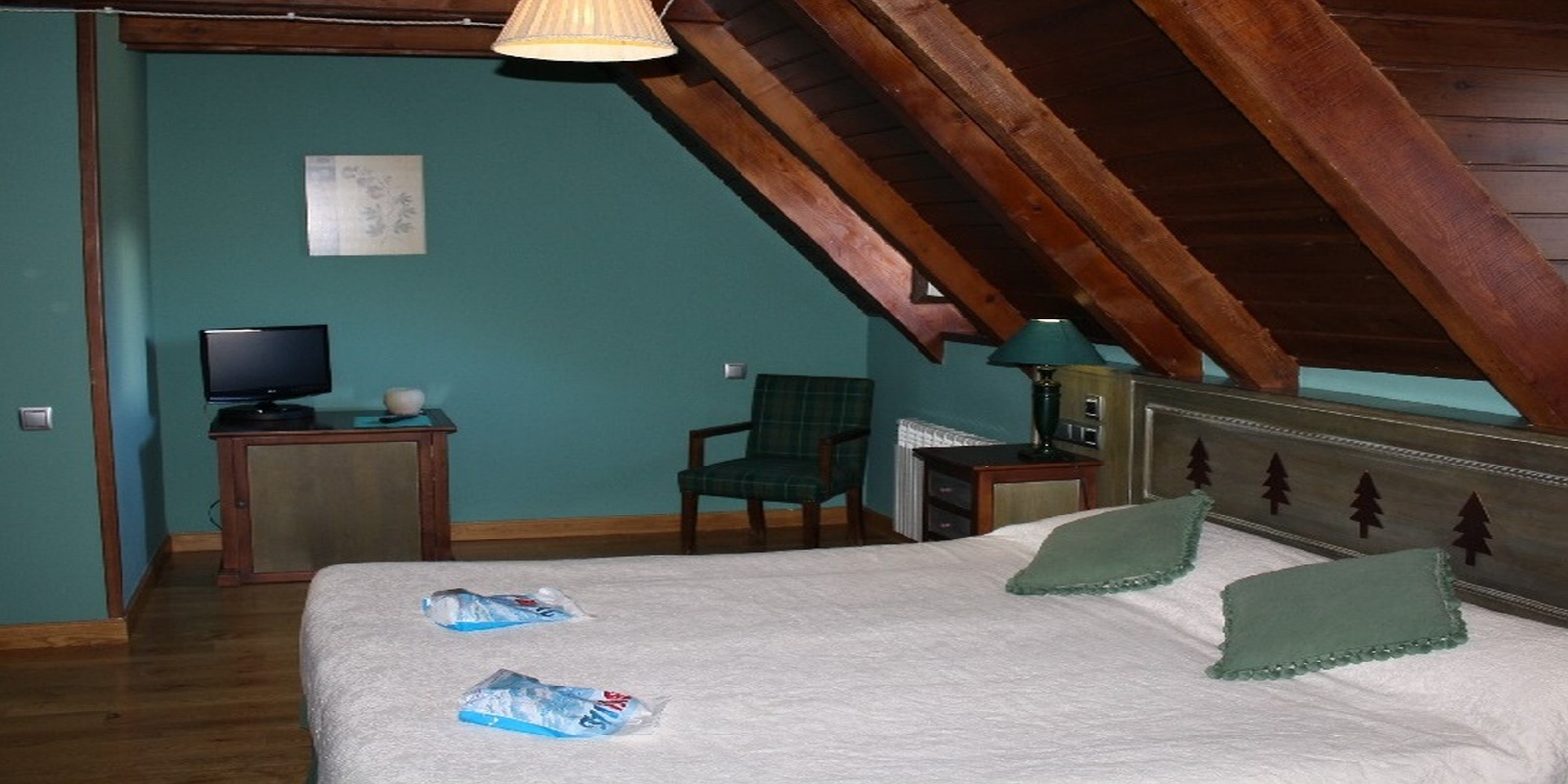 Double or Twin Standard