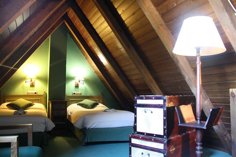 Double or Twin Standard