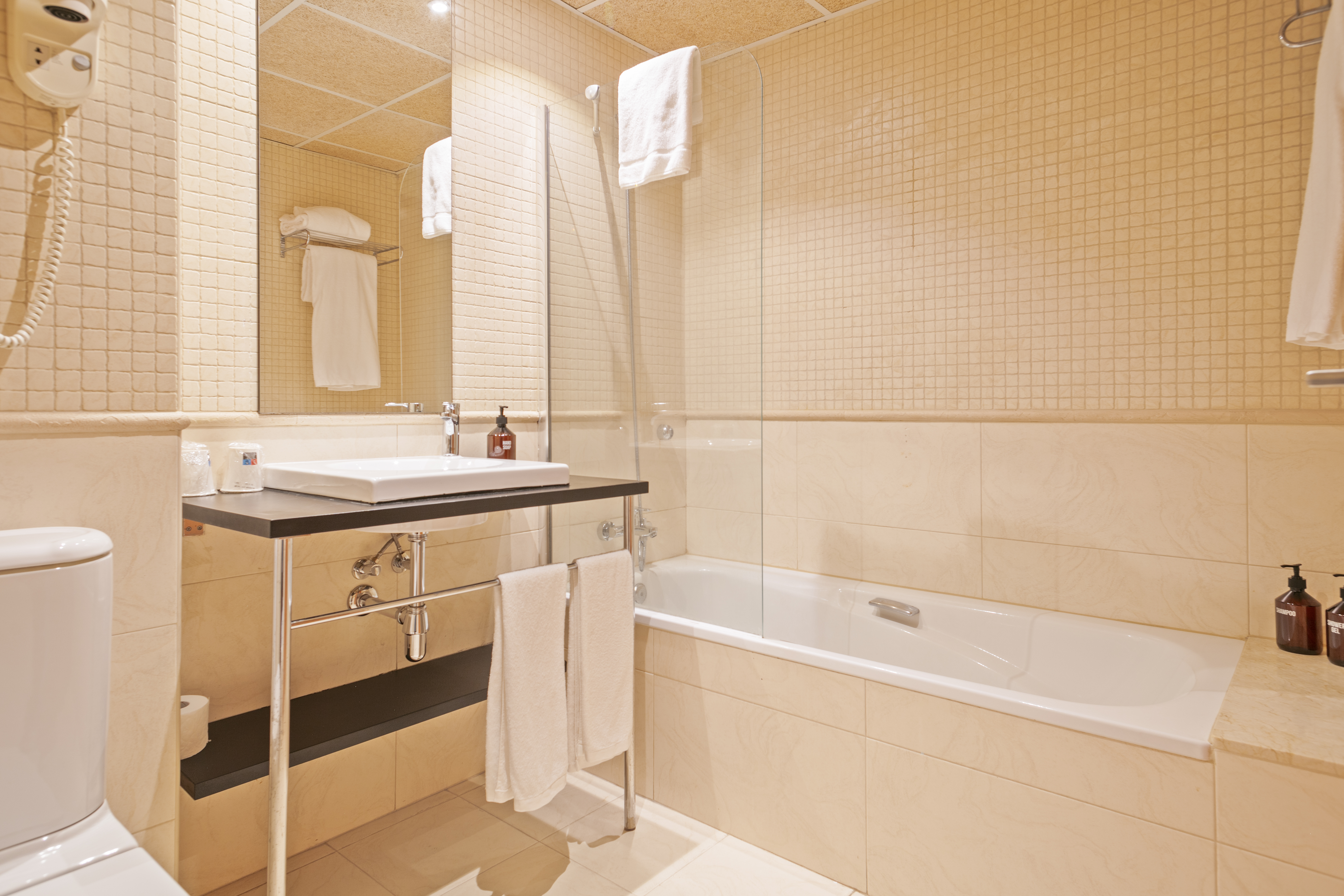 Double or Twin Superior