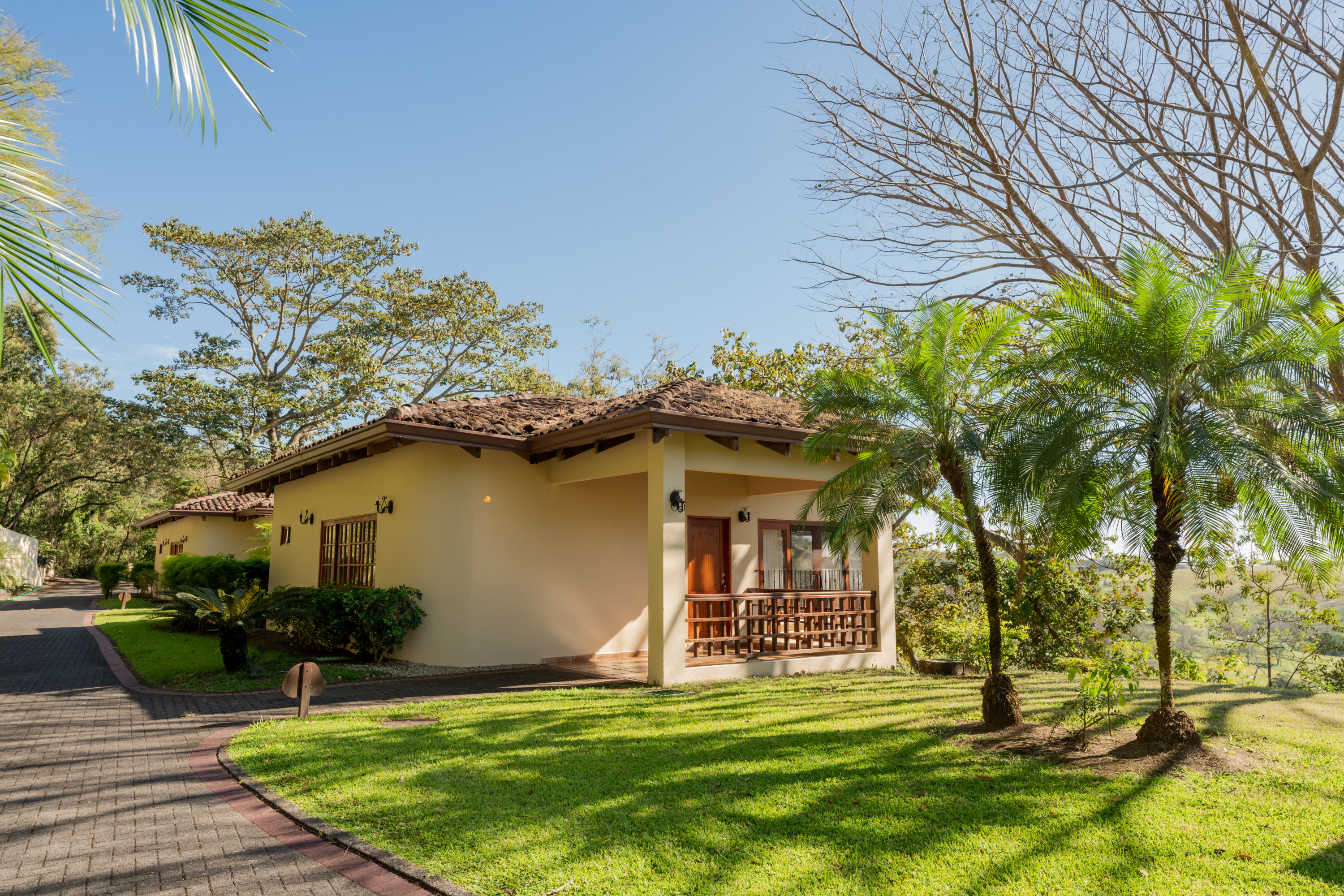 Junior Suite Standard