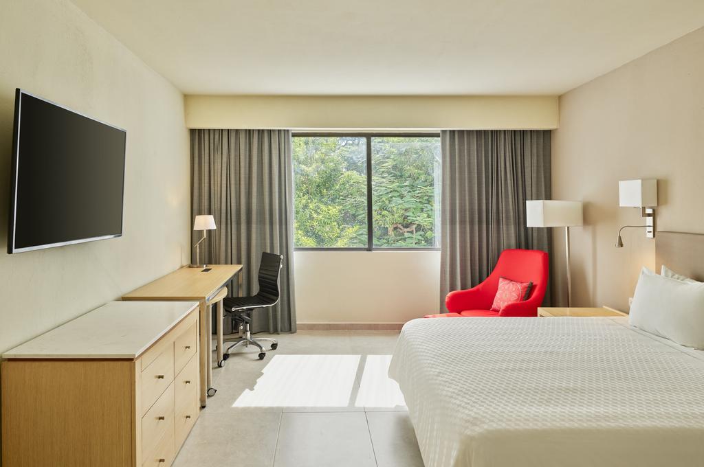 Room Executive King Bed