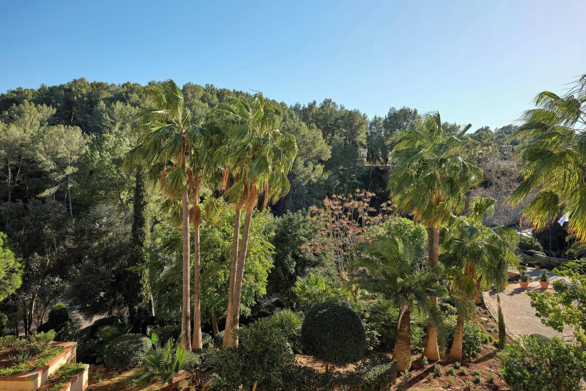 Double Superior with Balcony