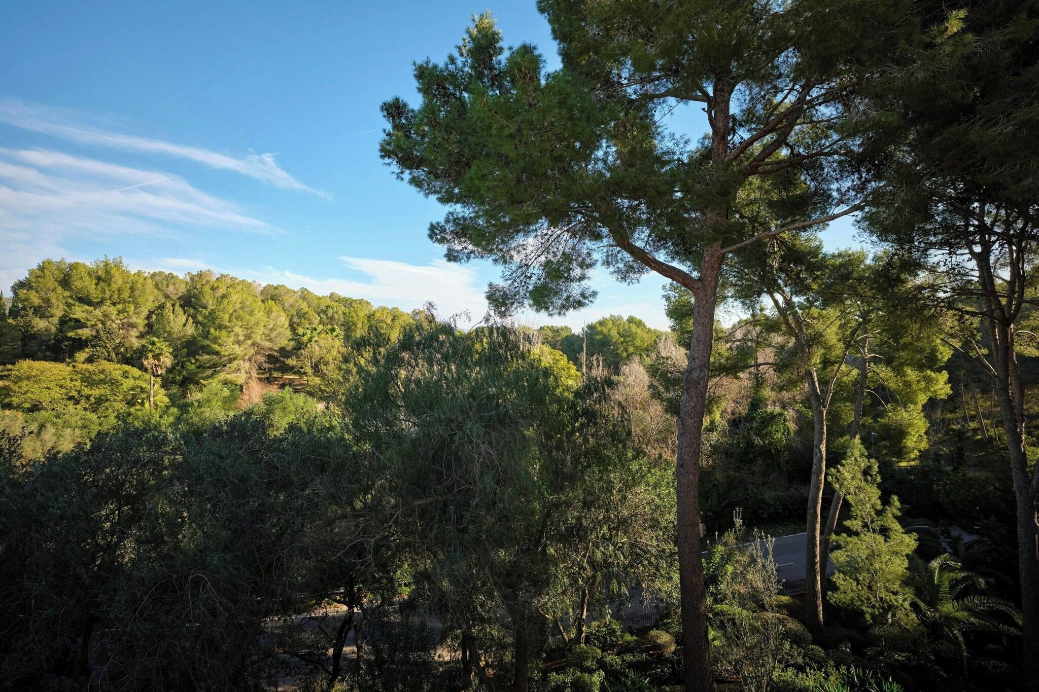 Twin Deluxe with Balcony