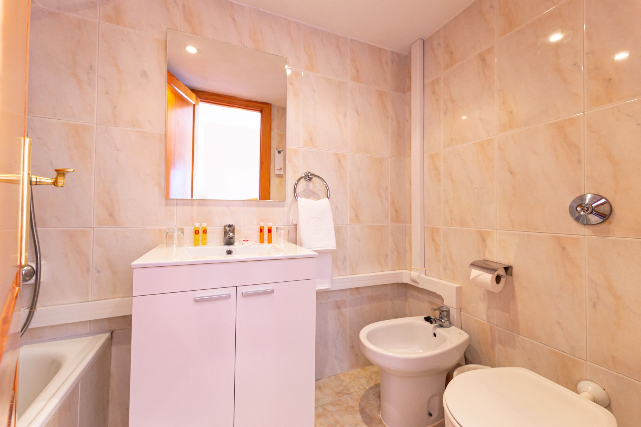 Double or Twin Economy